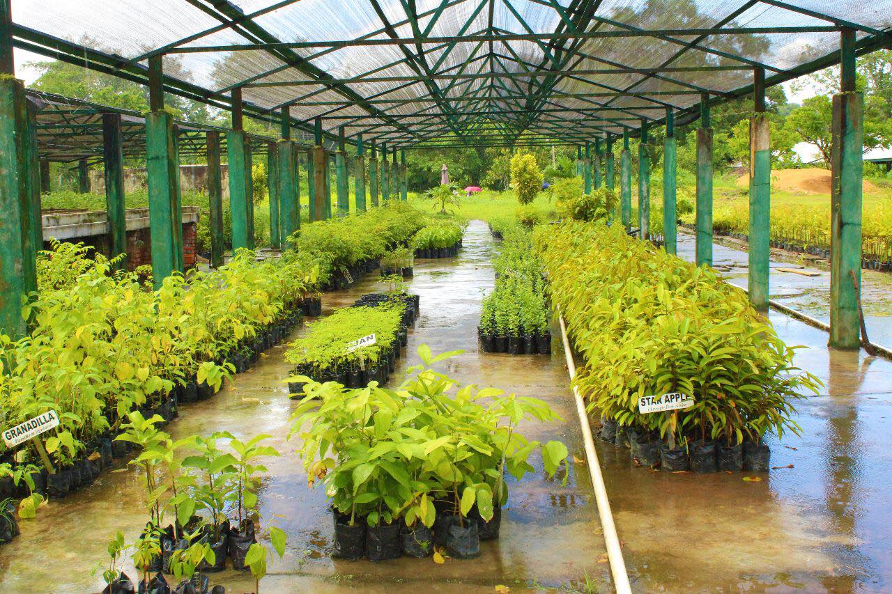 Partner Farmers Receive Vital Agricultural Inputs via Grow Up SED Program