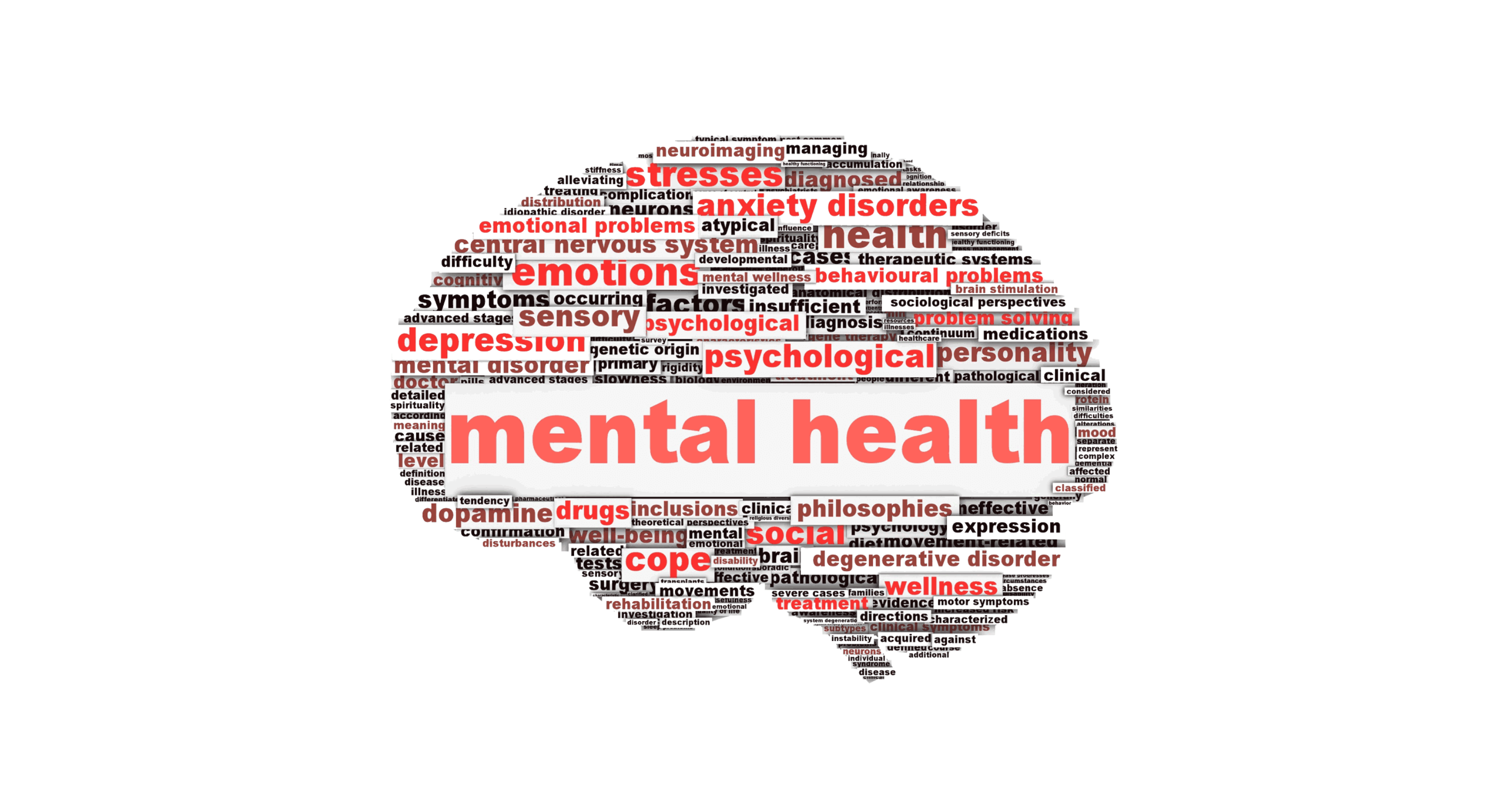 Mental Health Awareness Fair Focuses on Support and Education