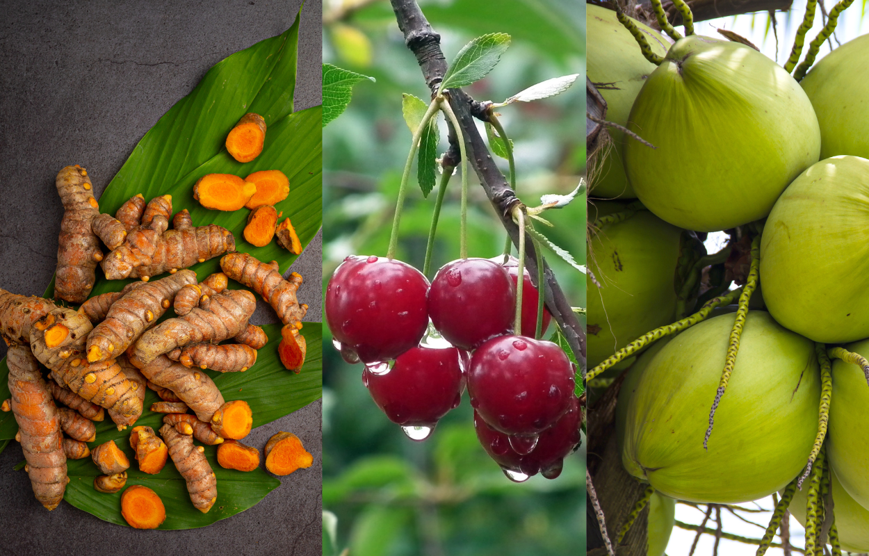 $5.3M CAPA Project Launched for Fruit and Vegetable Production