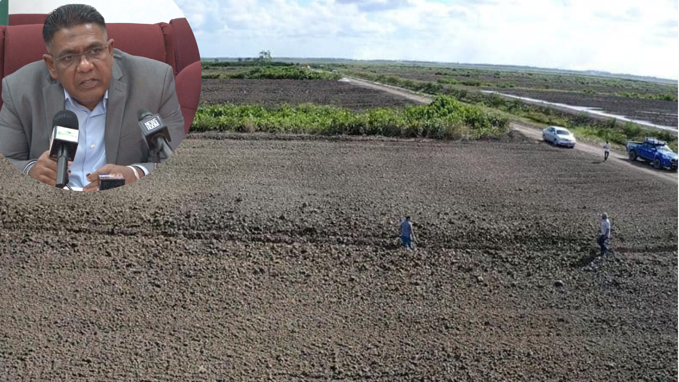 Advancements in Drainage and Irrigation (D&I) Expected for Farmers in 2024