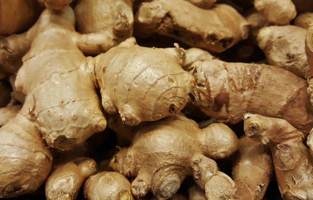 Two Million Pounds of Ginger Harvest Expected in February