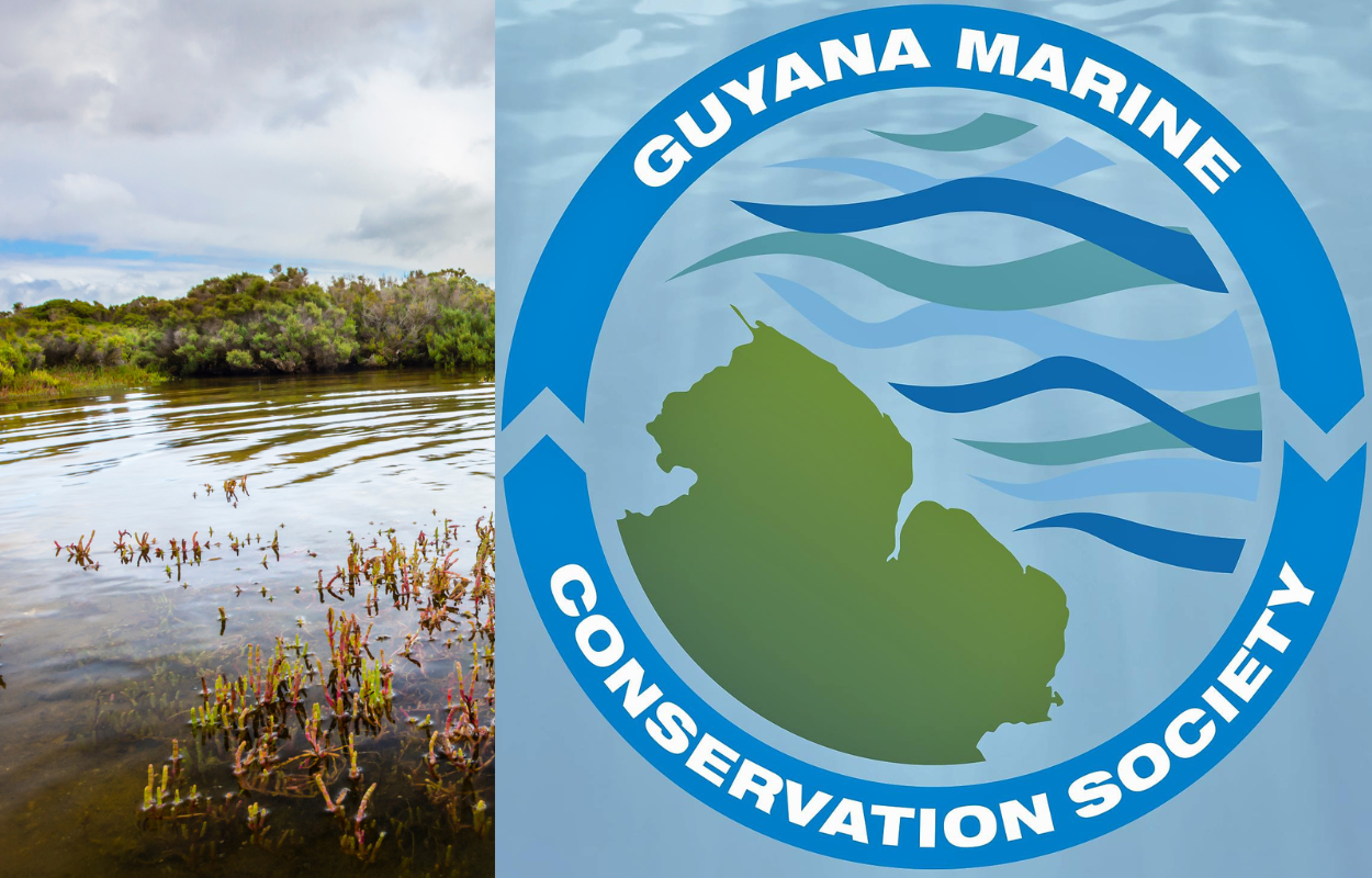 Blue Social Challenge Fund Boosts Guyana’s Marine Conservation