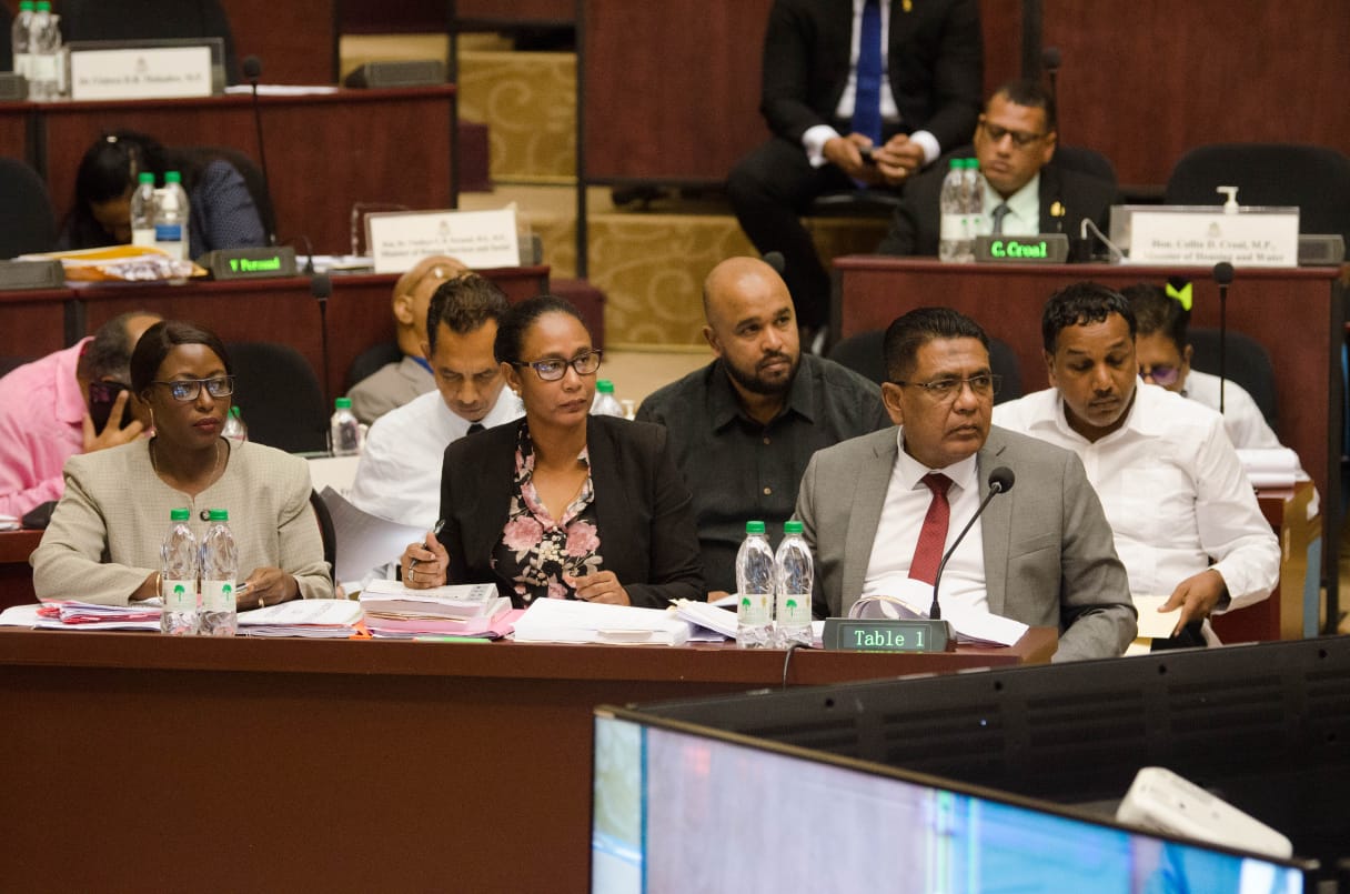 Black Belly Sheep Project Set to Roll Out in Guyana