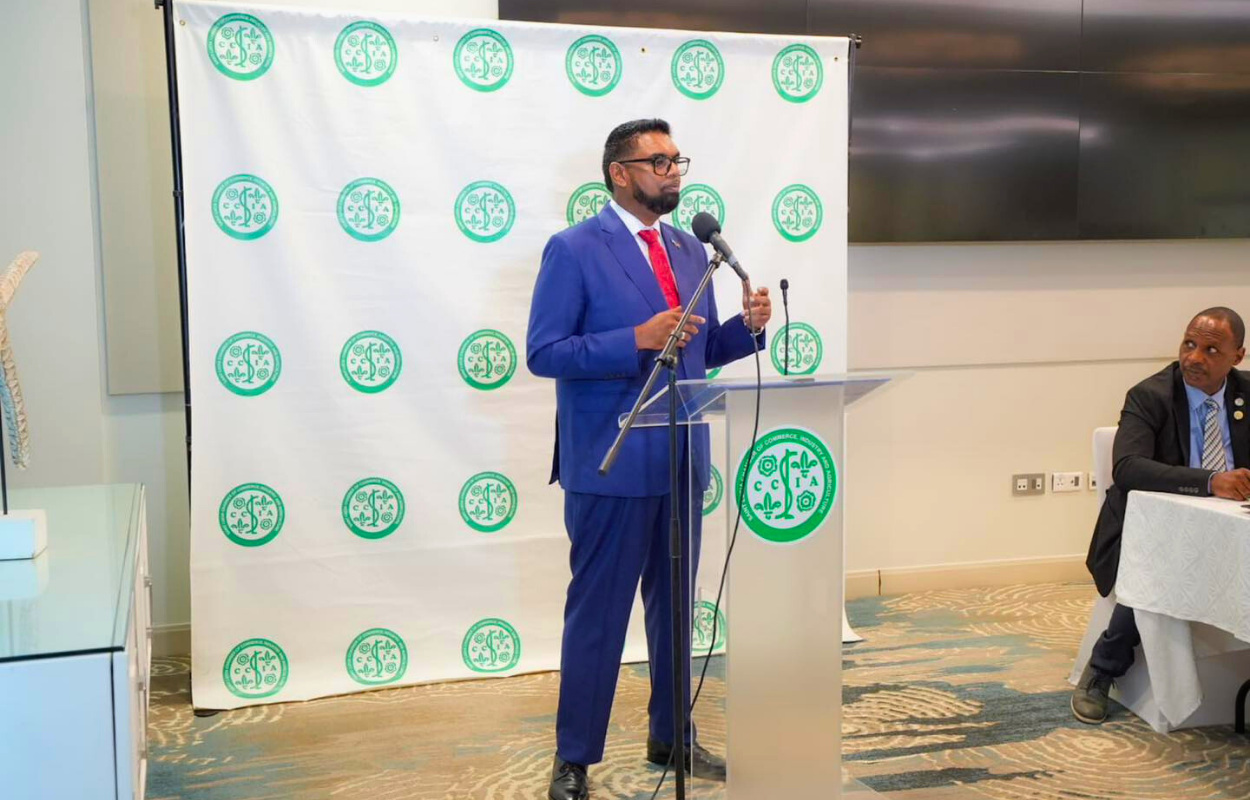 Guyana to Support St. Lucia’s Youth Entrepreneurship Program: President Ali