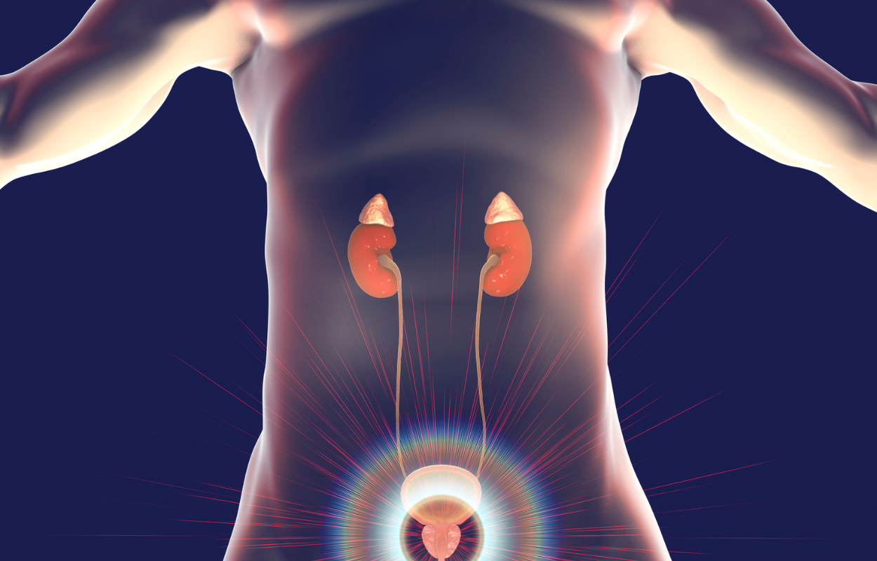 National Screening for Prostate Cancer Launched in Linden