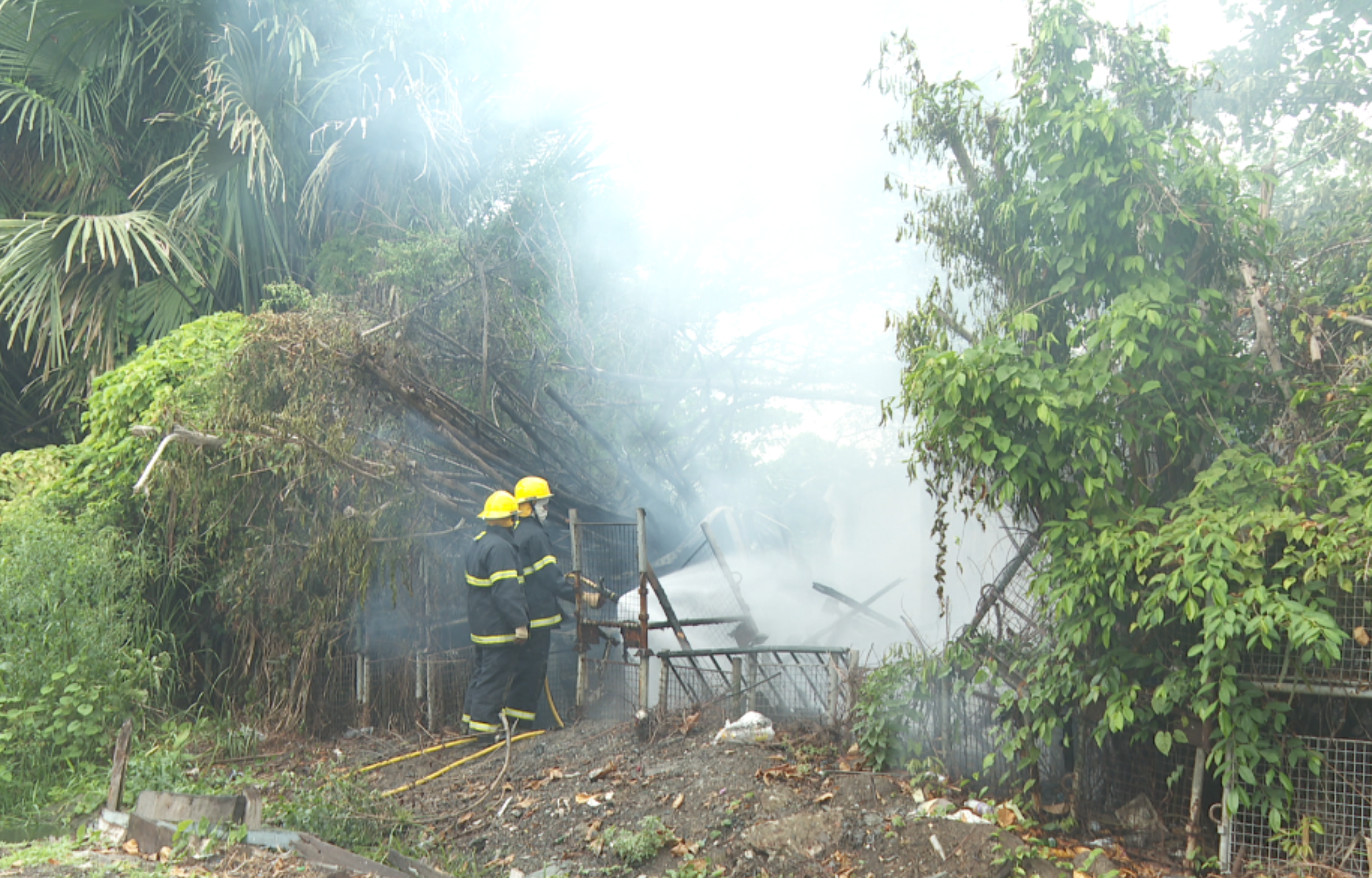 Wortmanville Residents Affected by Grass Fire, Call for Preventative Measures