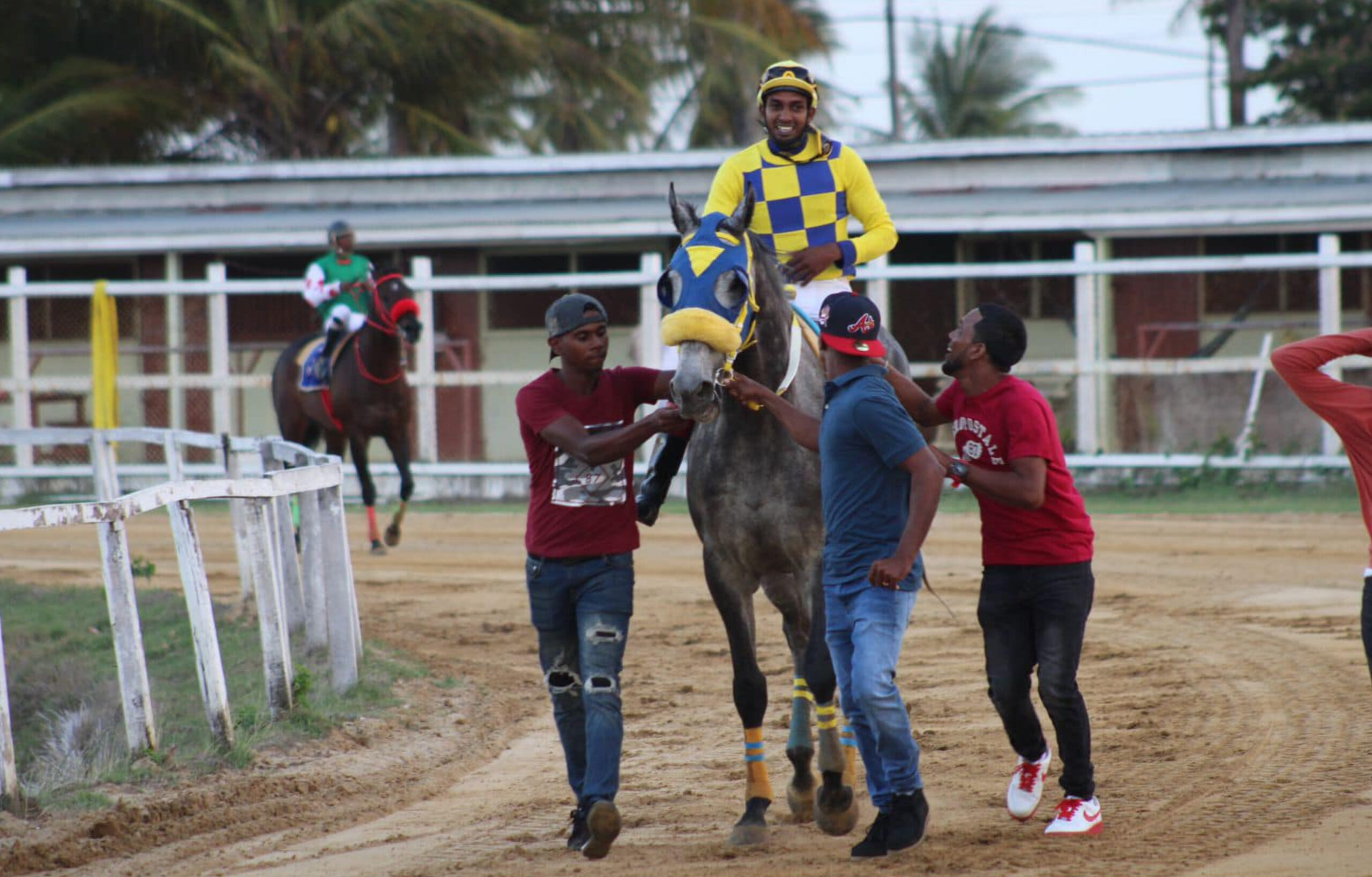 Stolen Money Claims Banks DIH “Champion of Champions Cup” in Thrilling Race