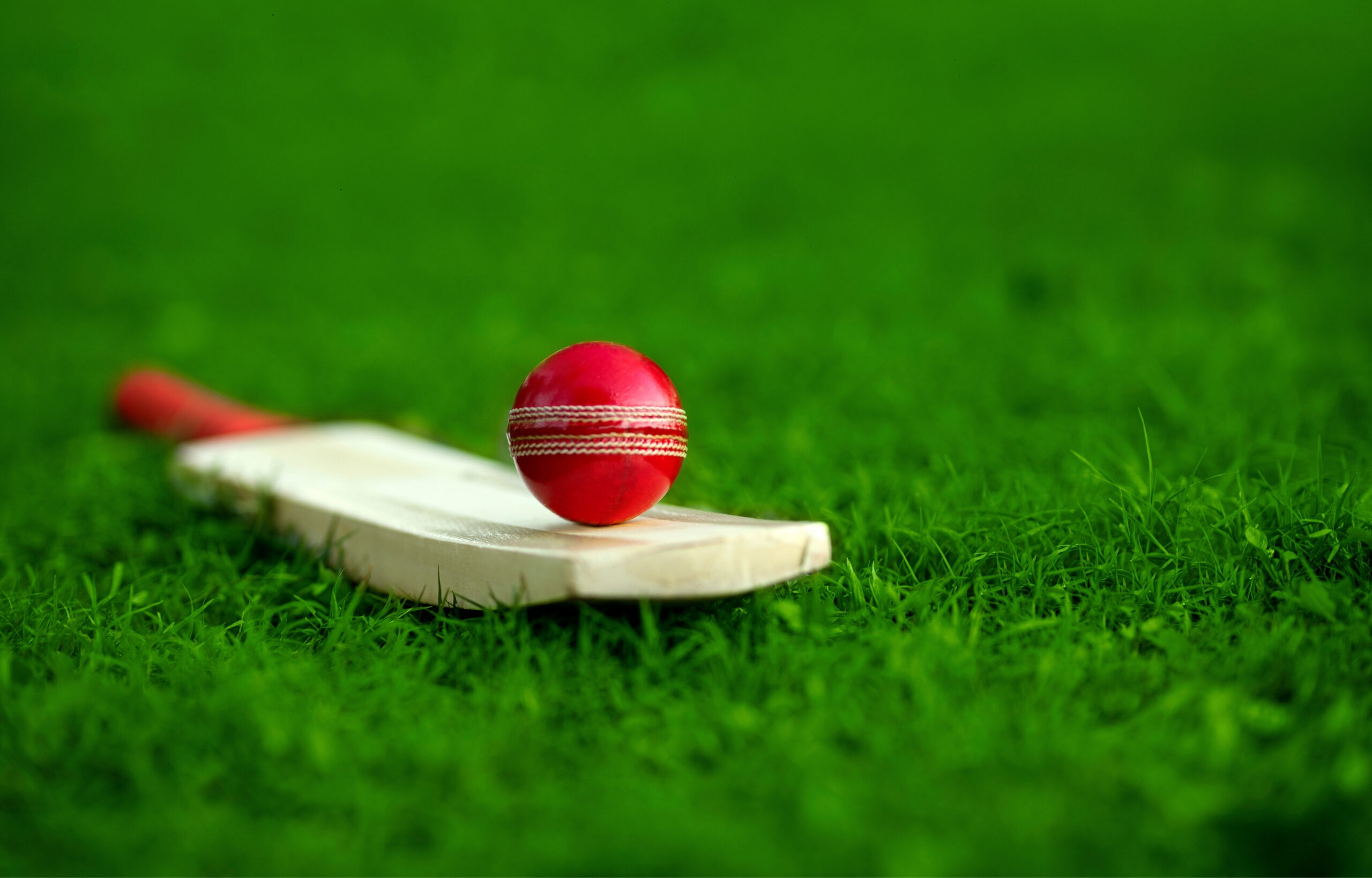 Caimans, Piranhas, and Pitbulls Triumph in GCB T10 Blast Tournament