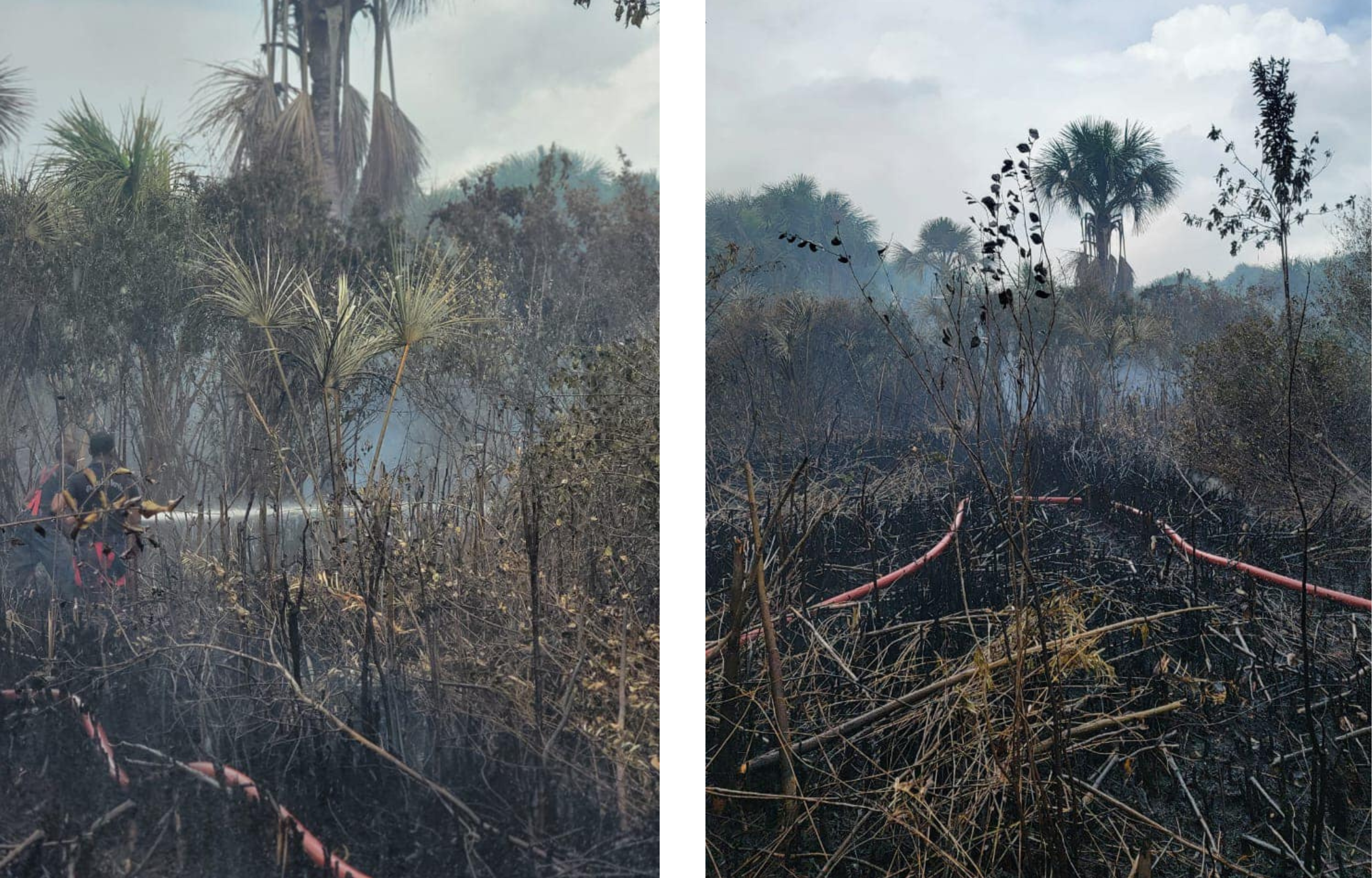 Guyana Fire Service Battles Wildfire at Santa Mission, Region Three