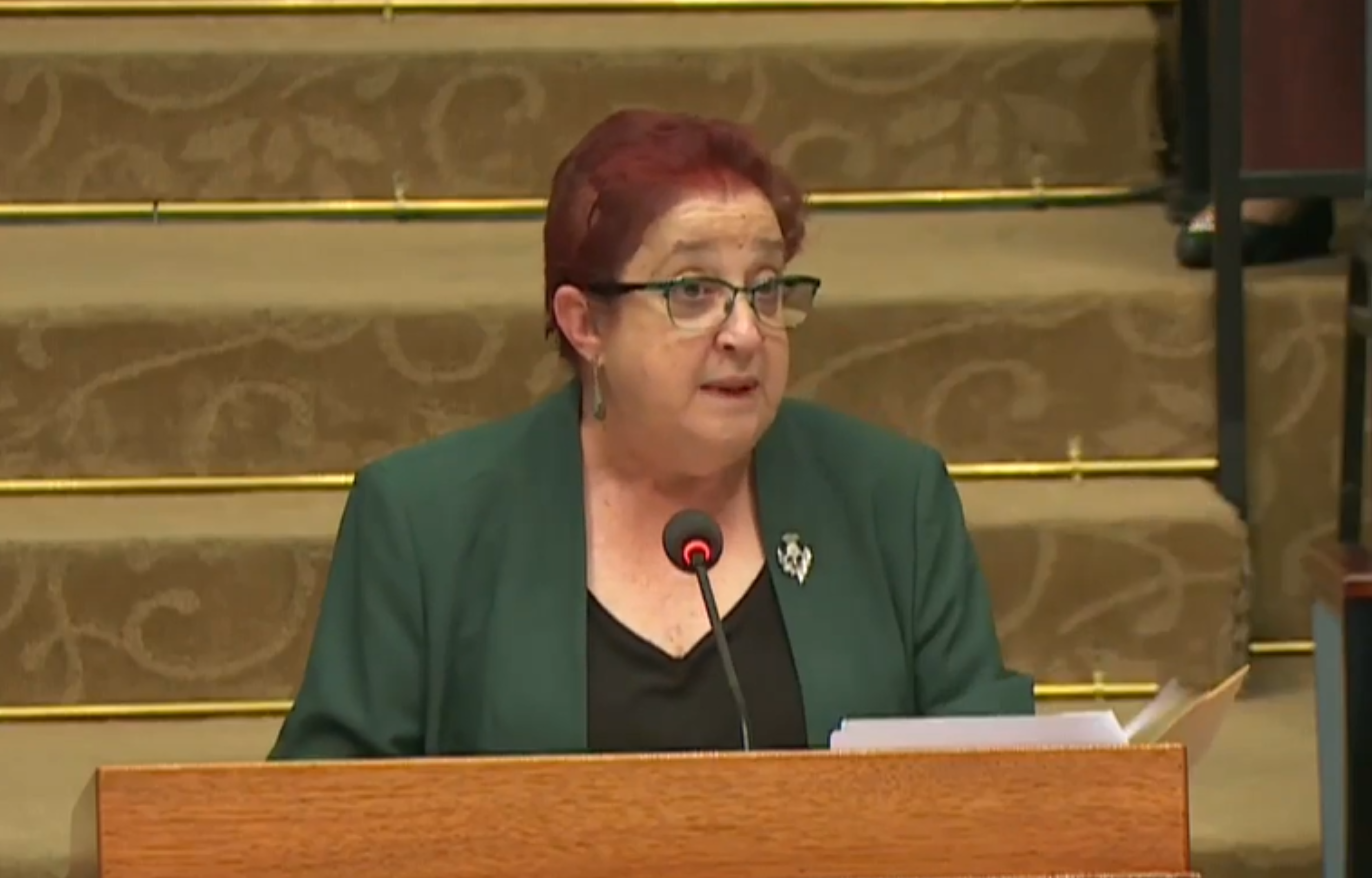 Government Rejects Opposition Motion to Rescind Public Accounts Committee Resolution