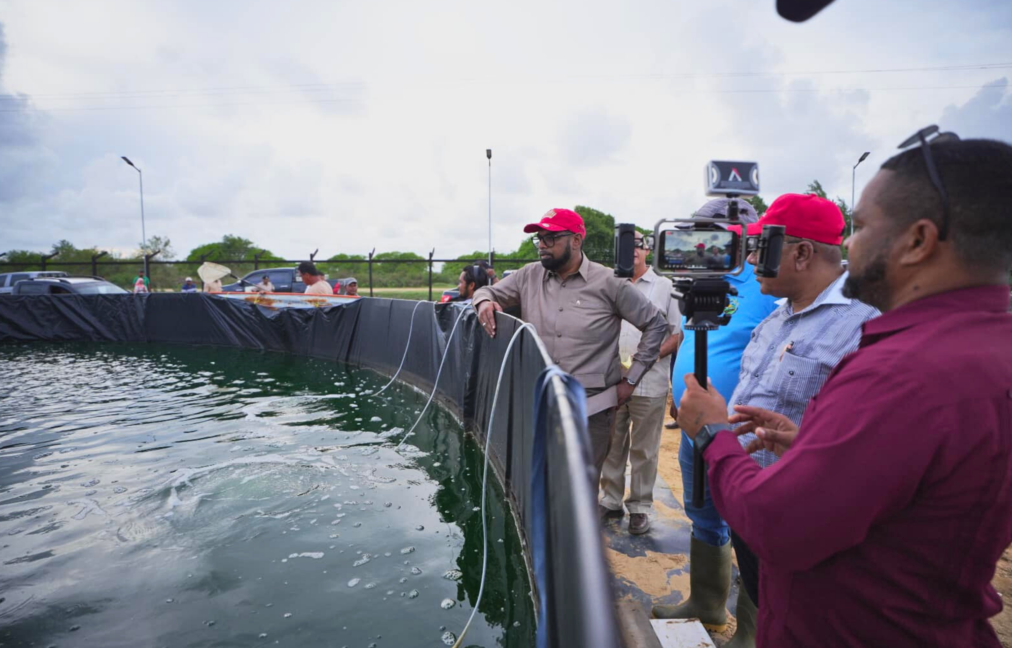 Guyana Set to Produce 360 Tonnes of Prawns Annually