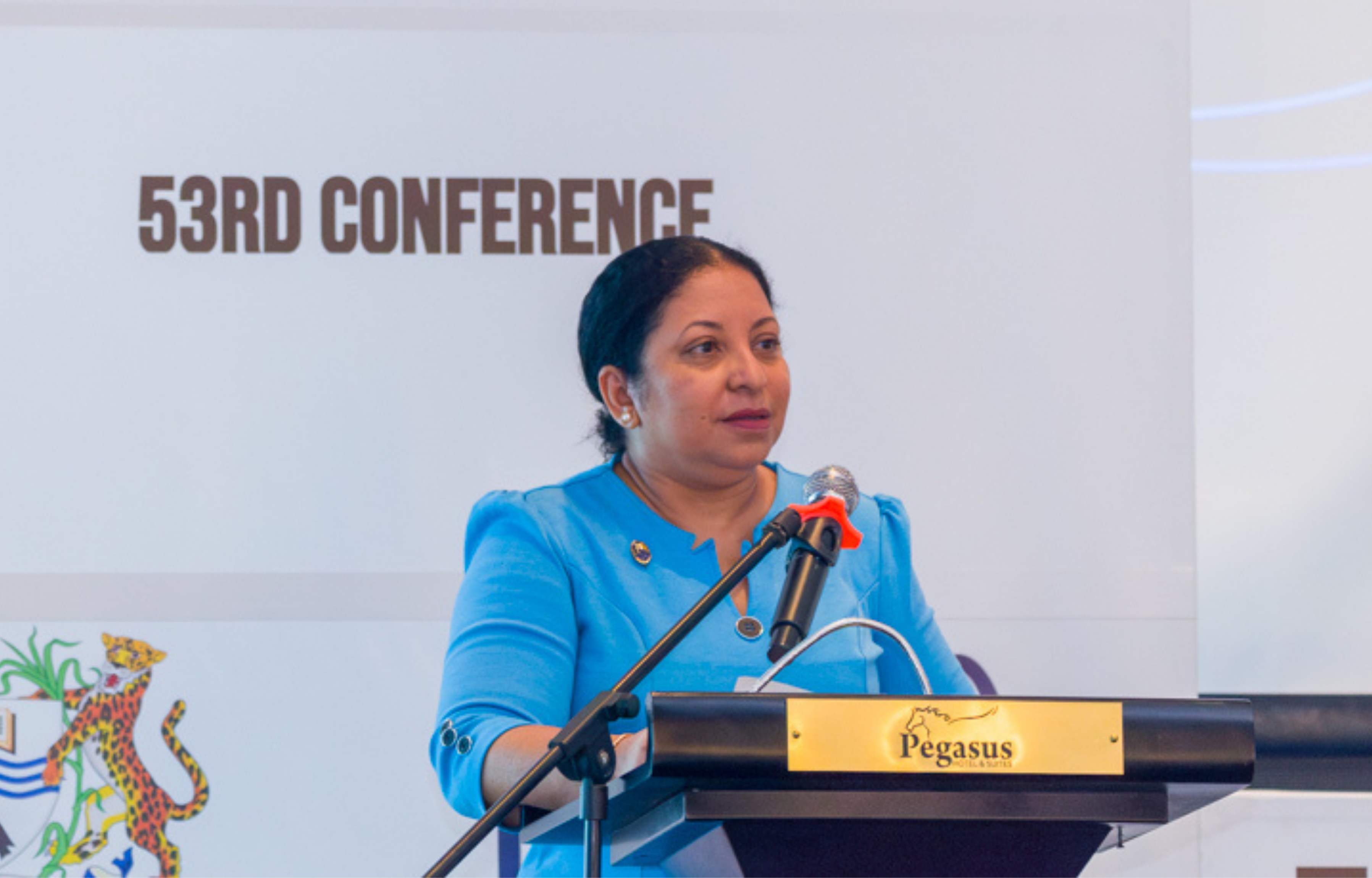 Vice Chancellor Warns Against Plagiarism Amidst Increasing Use of AI