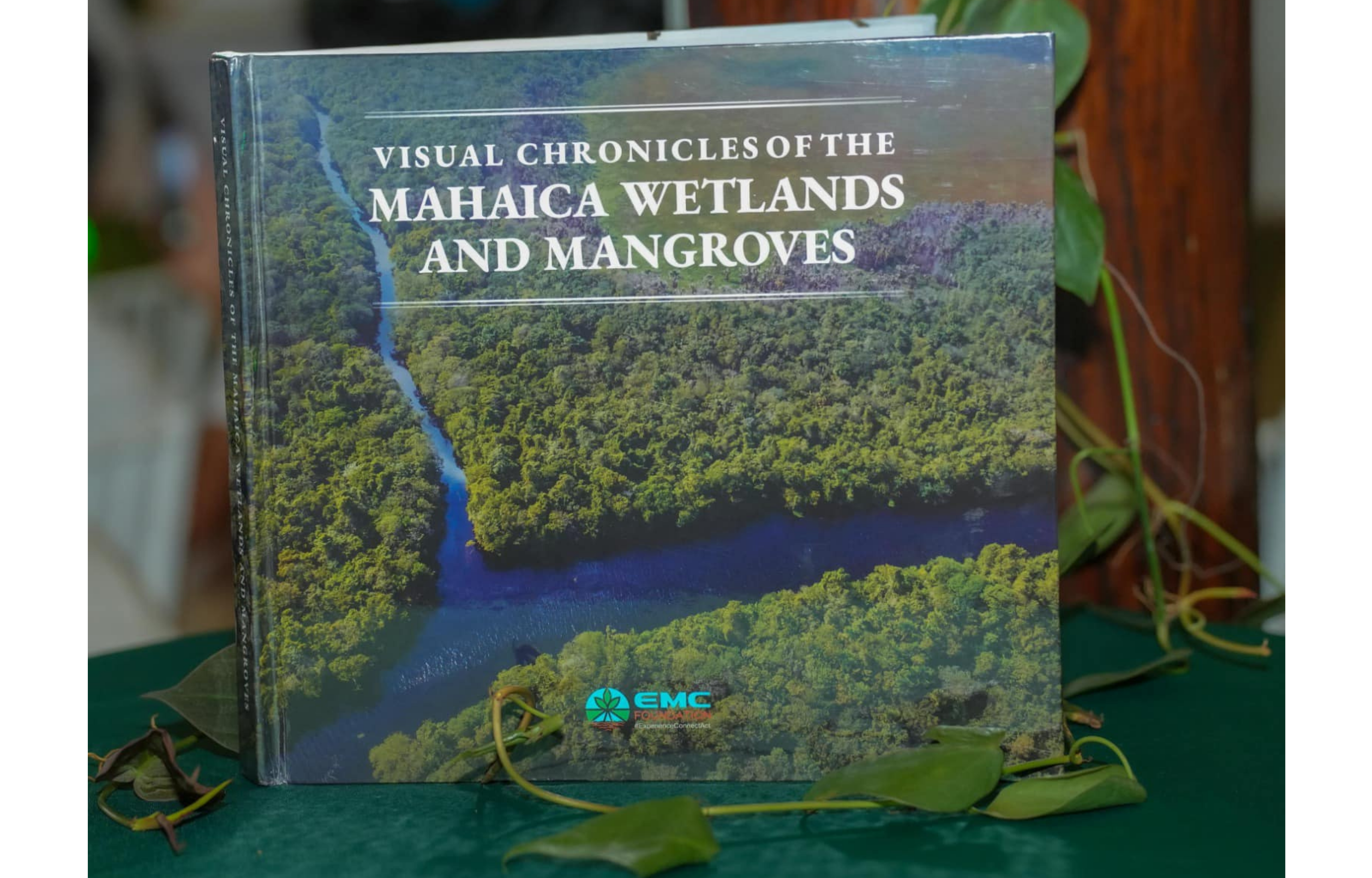 President Ali Foresees Guyana Leading Regional Tourism by 2030