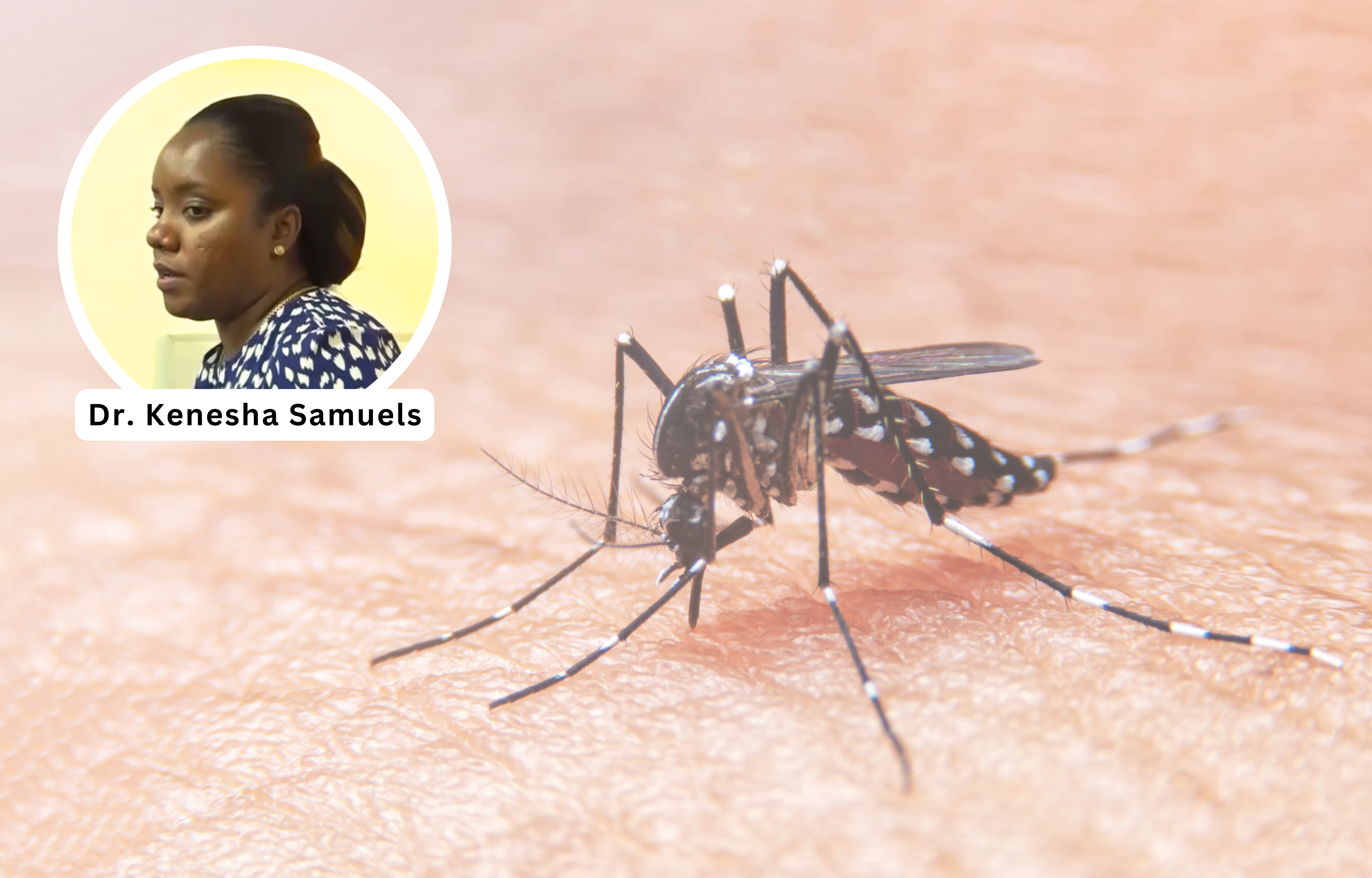 Surge in Dengue Cases Reported in Region 10