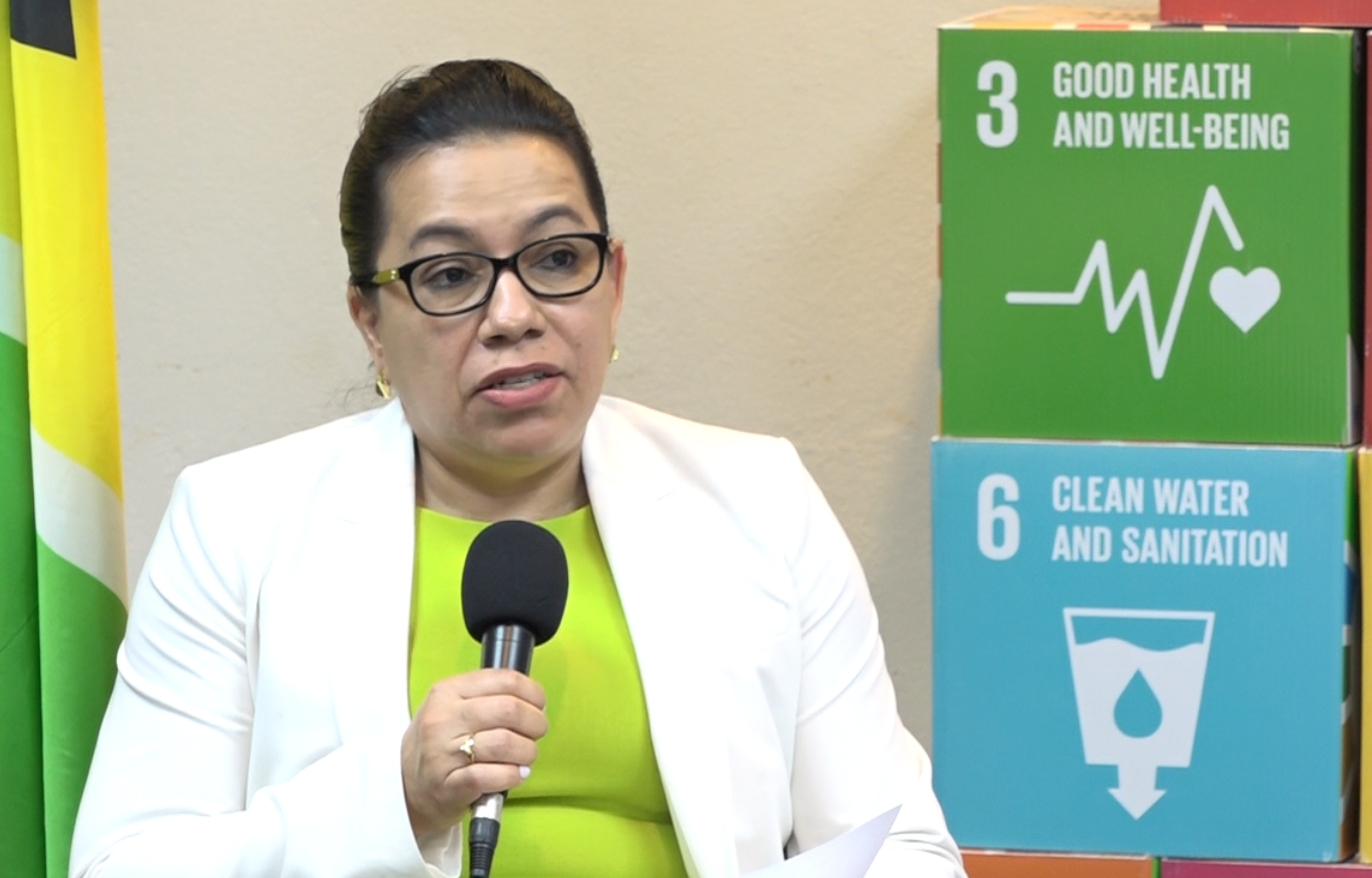 UN Summit of the Future to Address Sustainable Development Goals Challenges