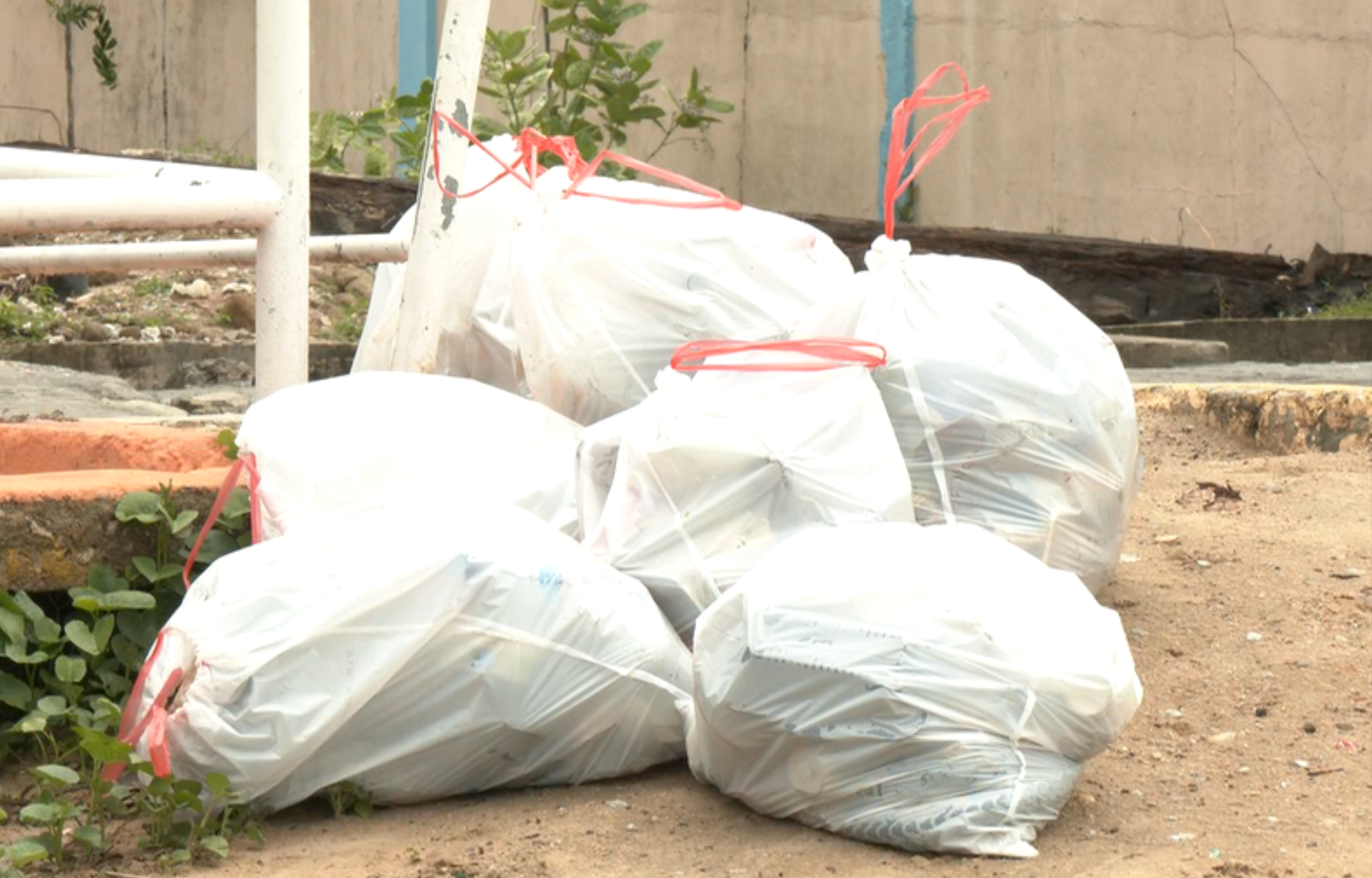 Guyana to Participate in International Coastal Cleanup Day