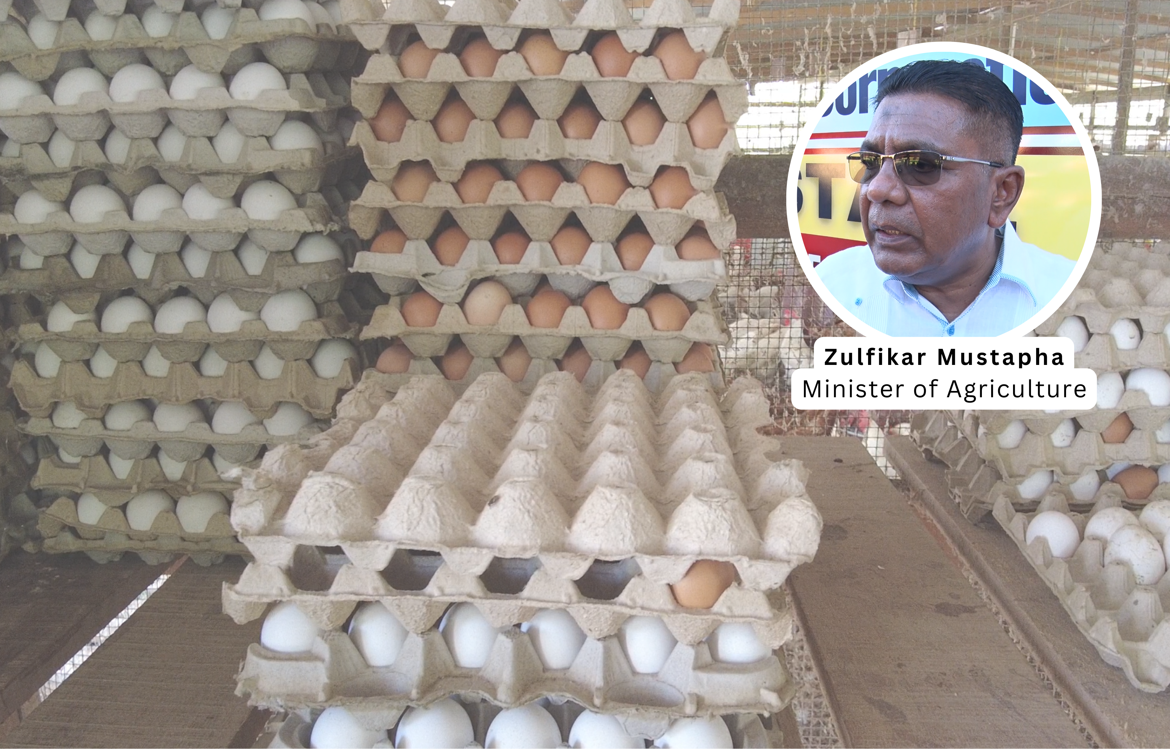 Hatching Egg Project Expected to Reduce Guyana’s Import Bill