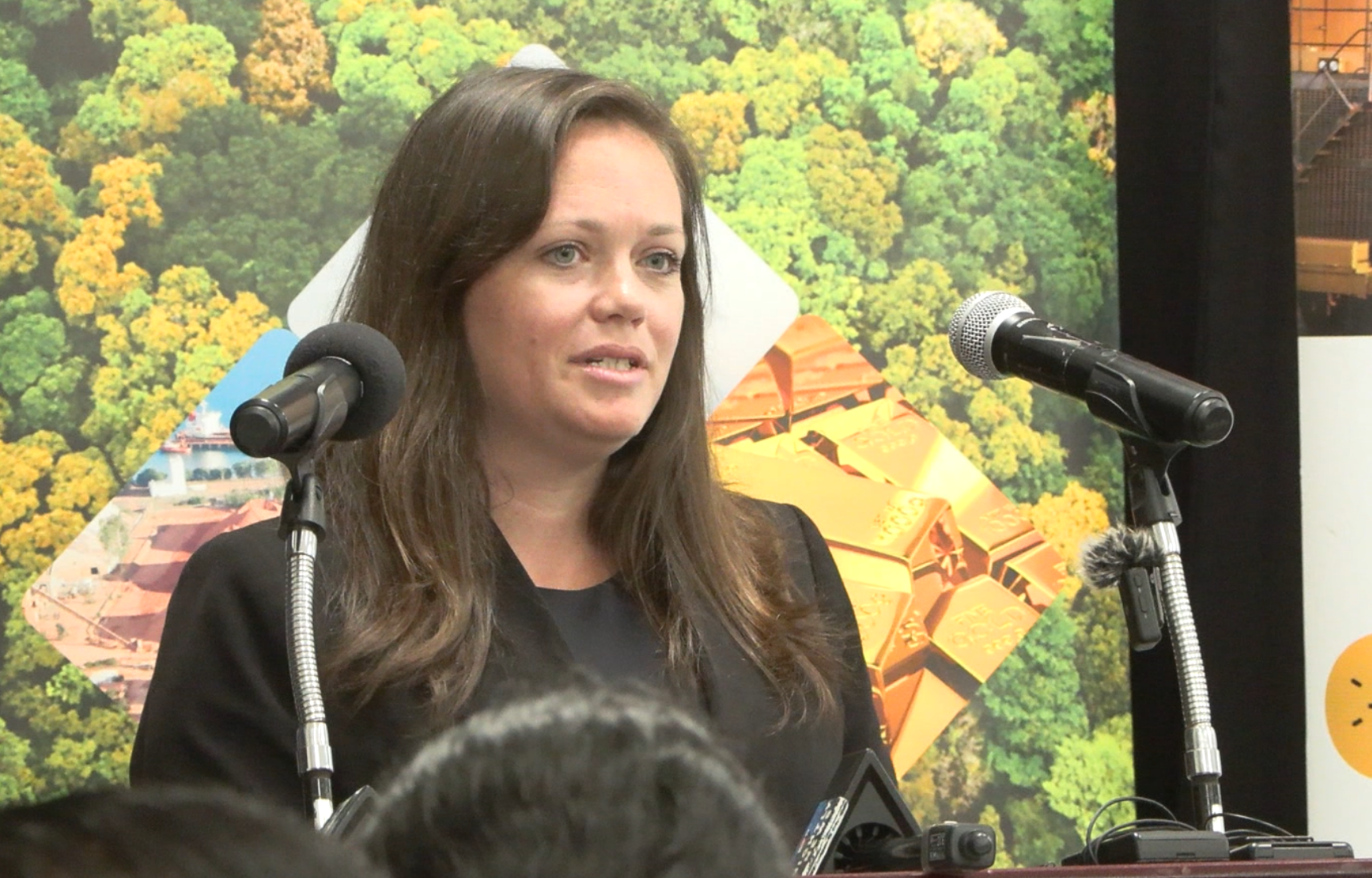 Government Signs Multi-Year Mineral Mapping Contract