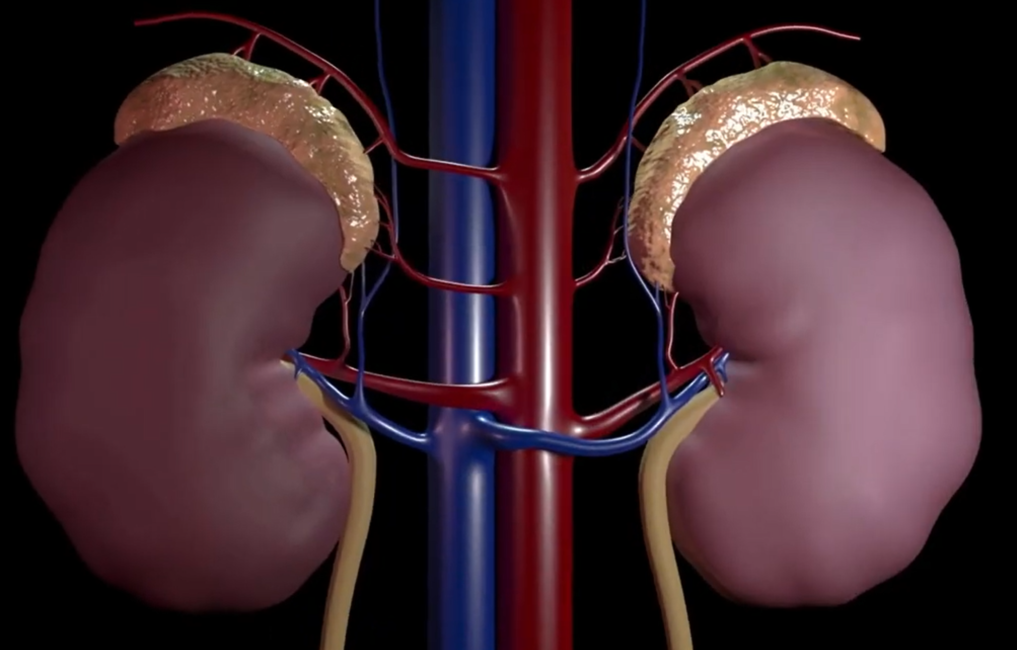 Chinese Nephrologist Highlights Importance of Doctor-Patient Collaboration in Managing Kidney Disease