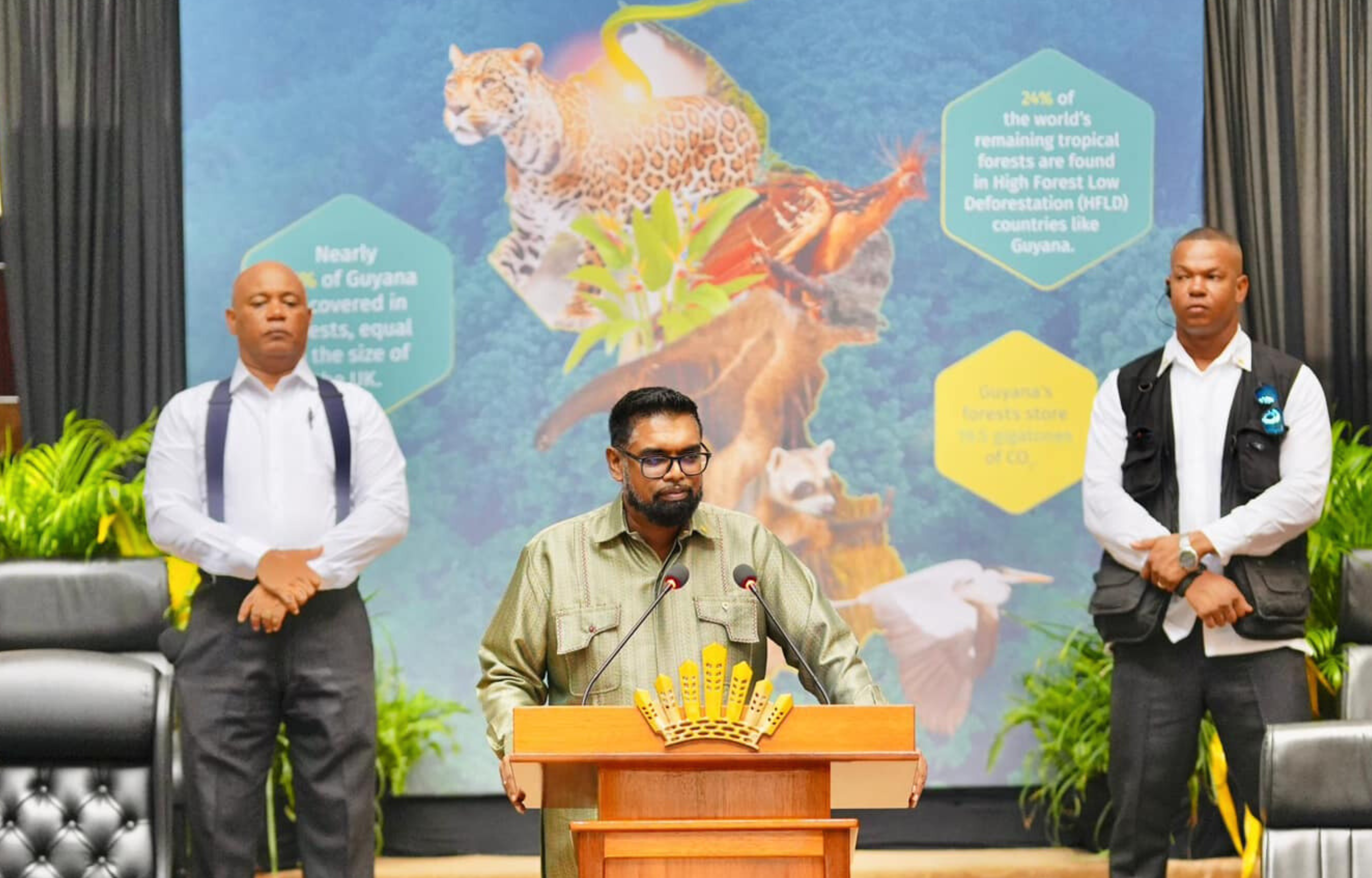 Developing Countries Play Key Role in Global Climate Action, Says President Ali