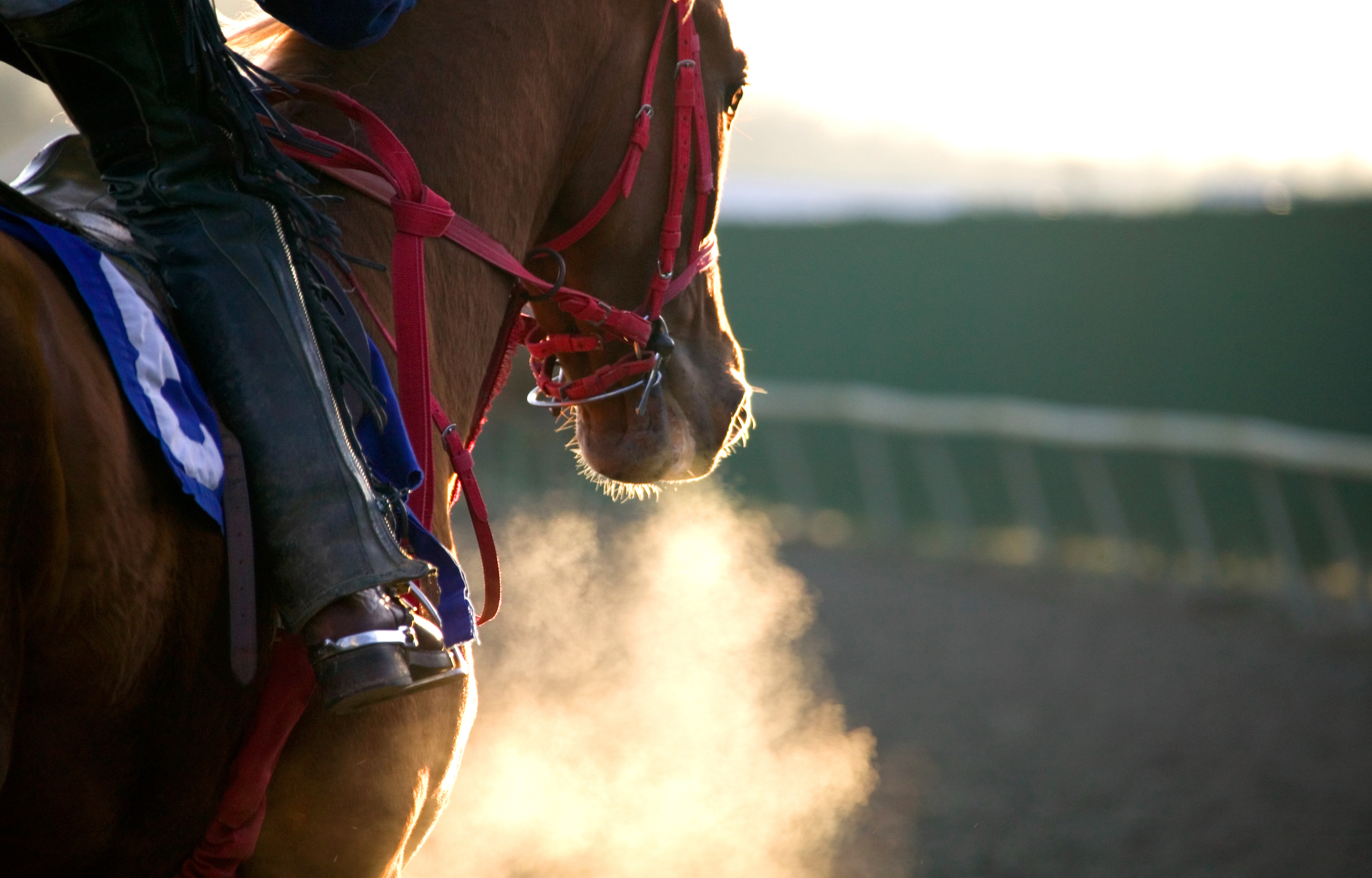 Horse Racing Legislation Moves Forward in Guyana