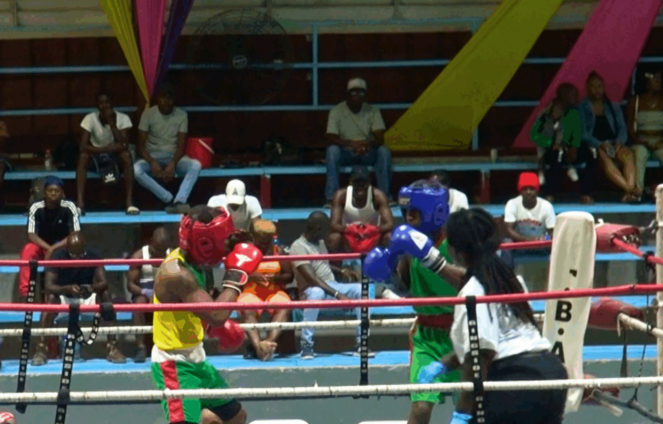 Steve Ninvalle Re-Elected to Lead Guyana Boxing Association