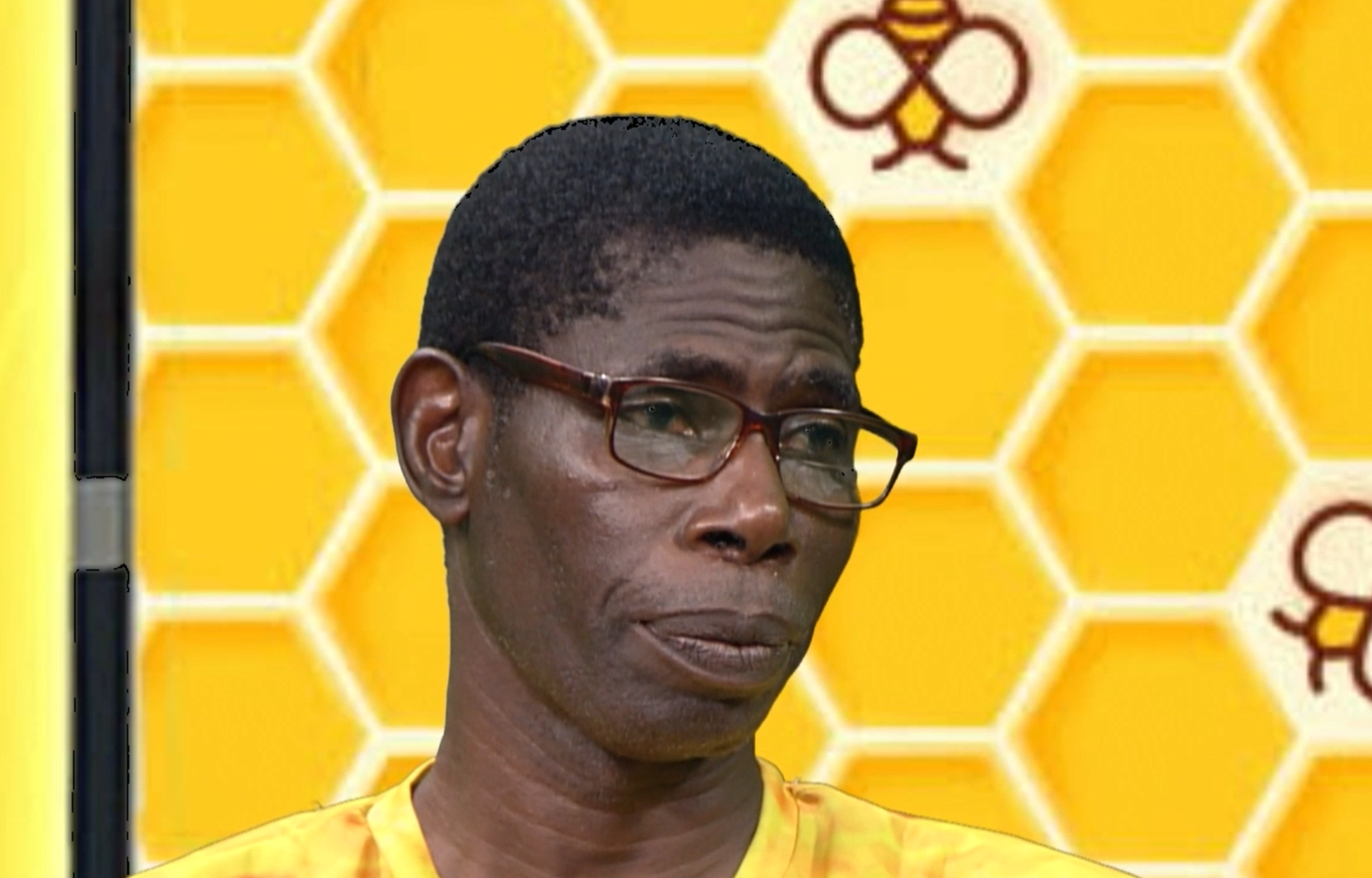 Beekeeping: A Critical Sector for Food Sustainability in Guyana