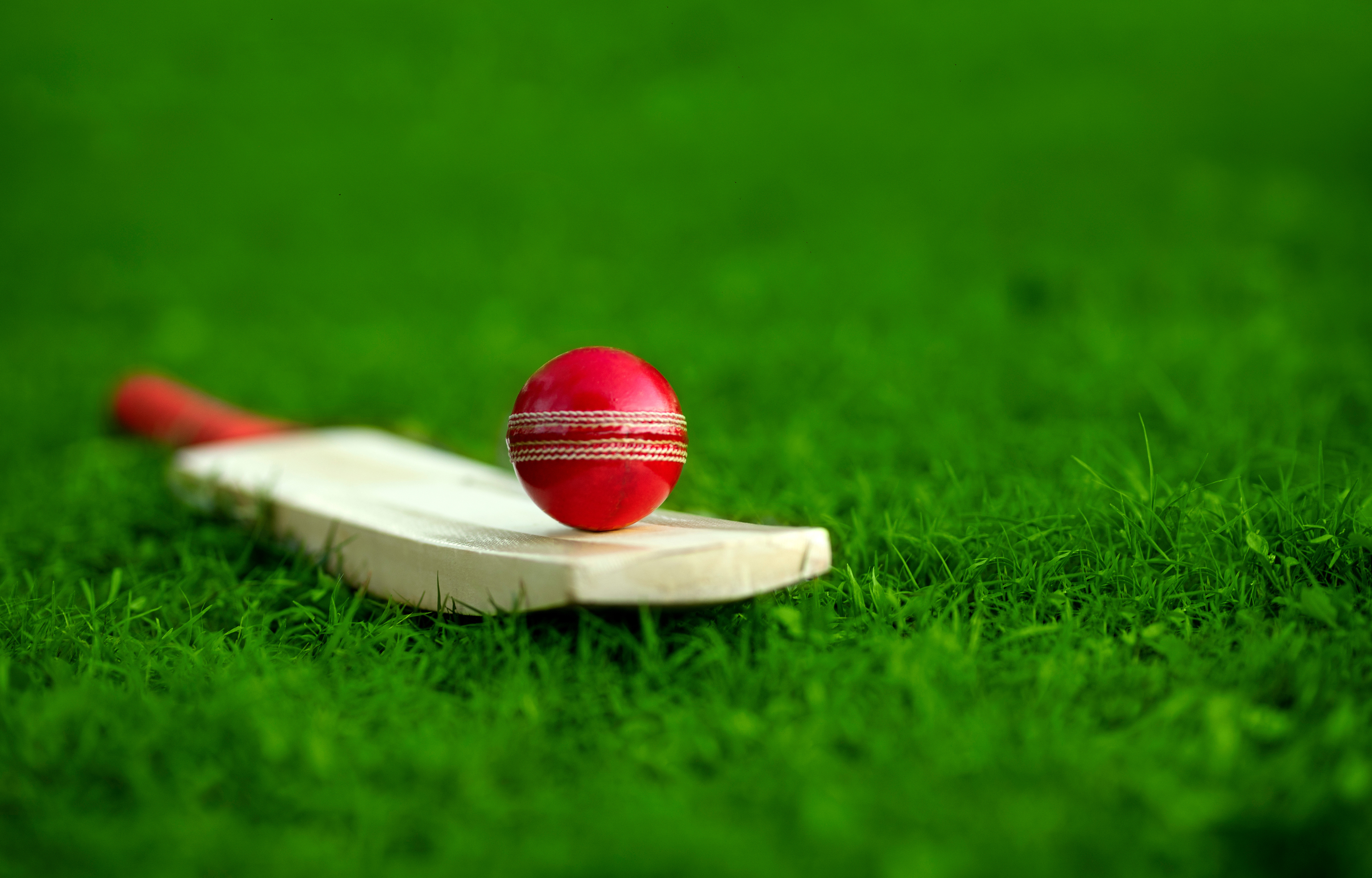 Harpy Eagles, Red Force Joint Top in CWI Regional Four-Day Championship