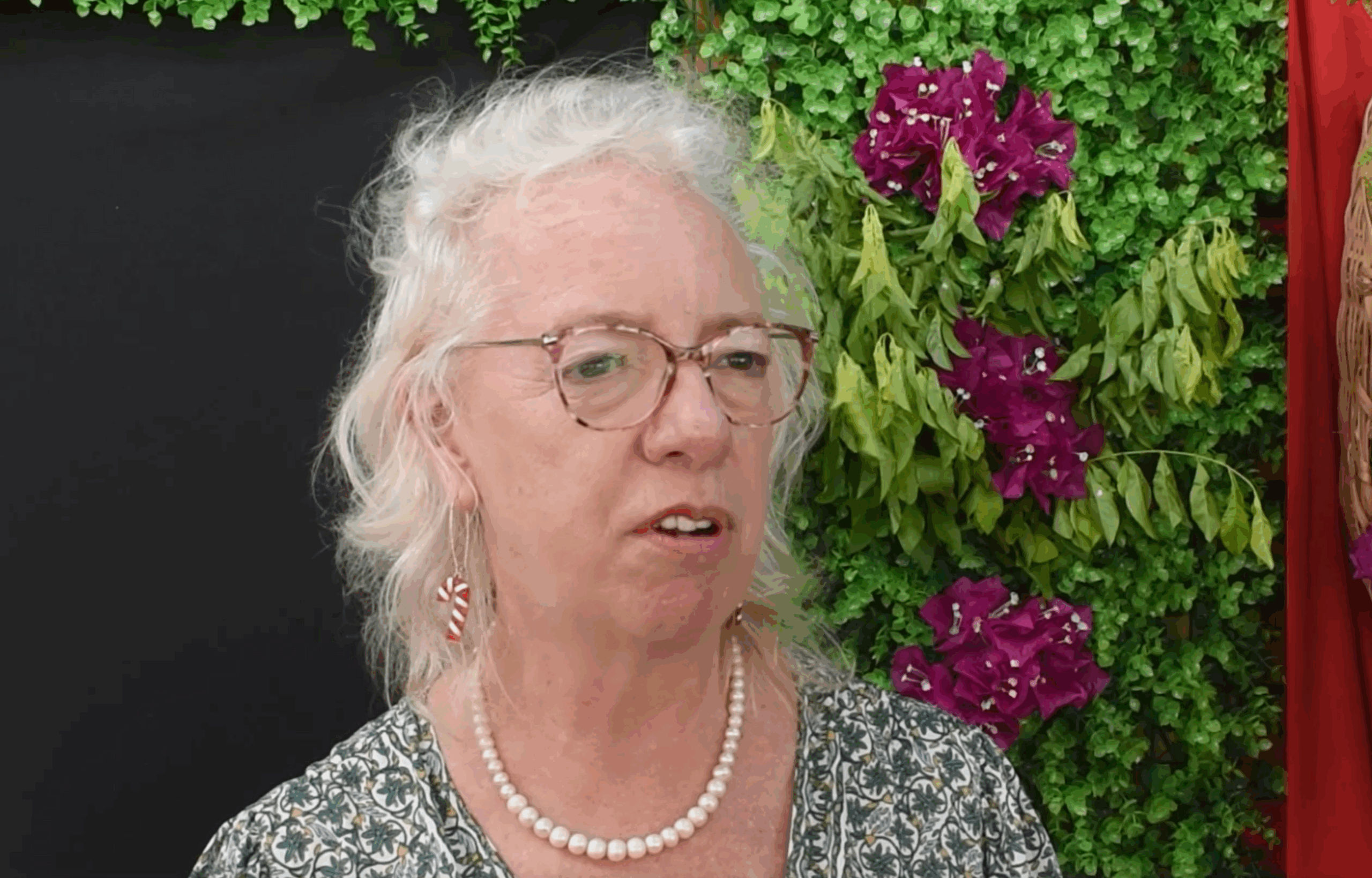 Strategic Investments Essential for Guyana’s Growth, British High Commissioner Says