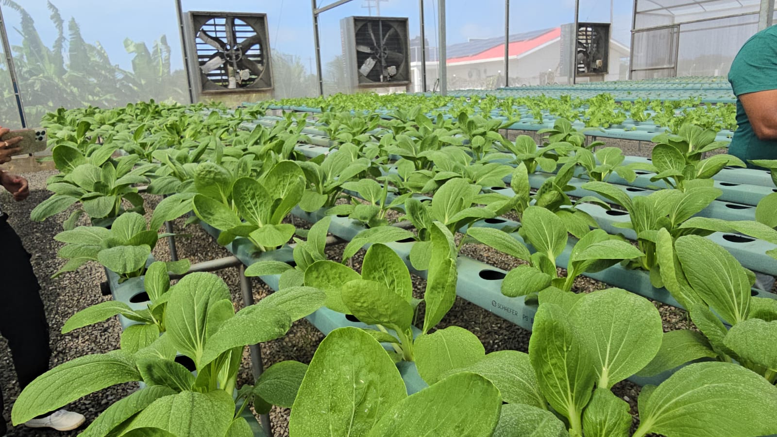 Guyana’s non-oil economy grew by 14.3 per cent in 2025