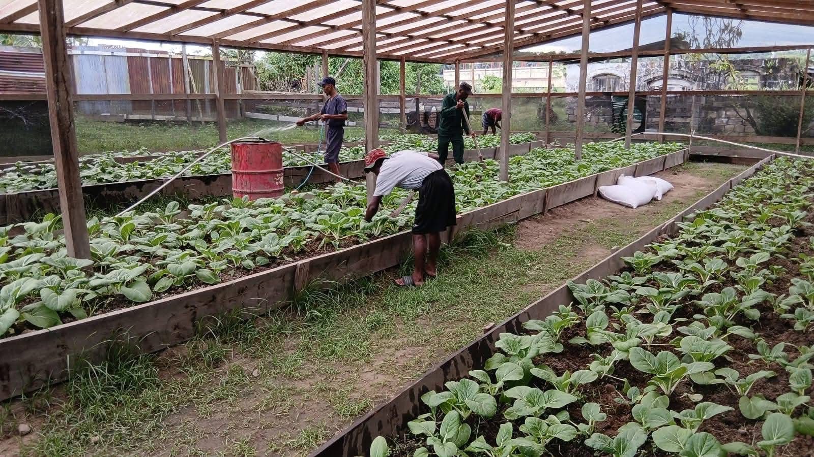 1302 inmates gained skillsets to aid reintegration into society in 2025