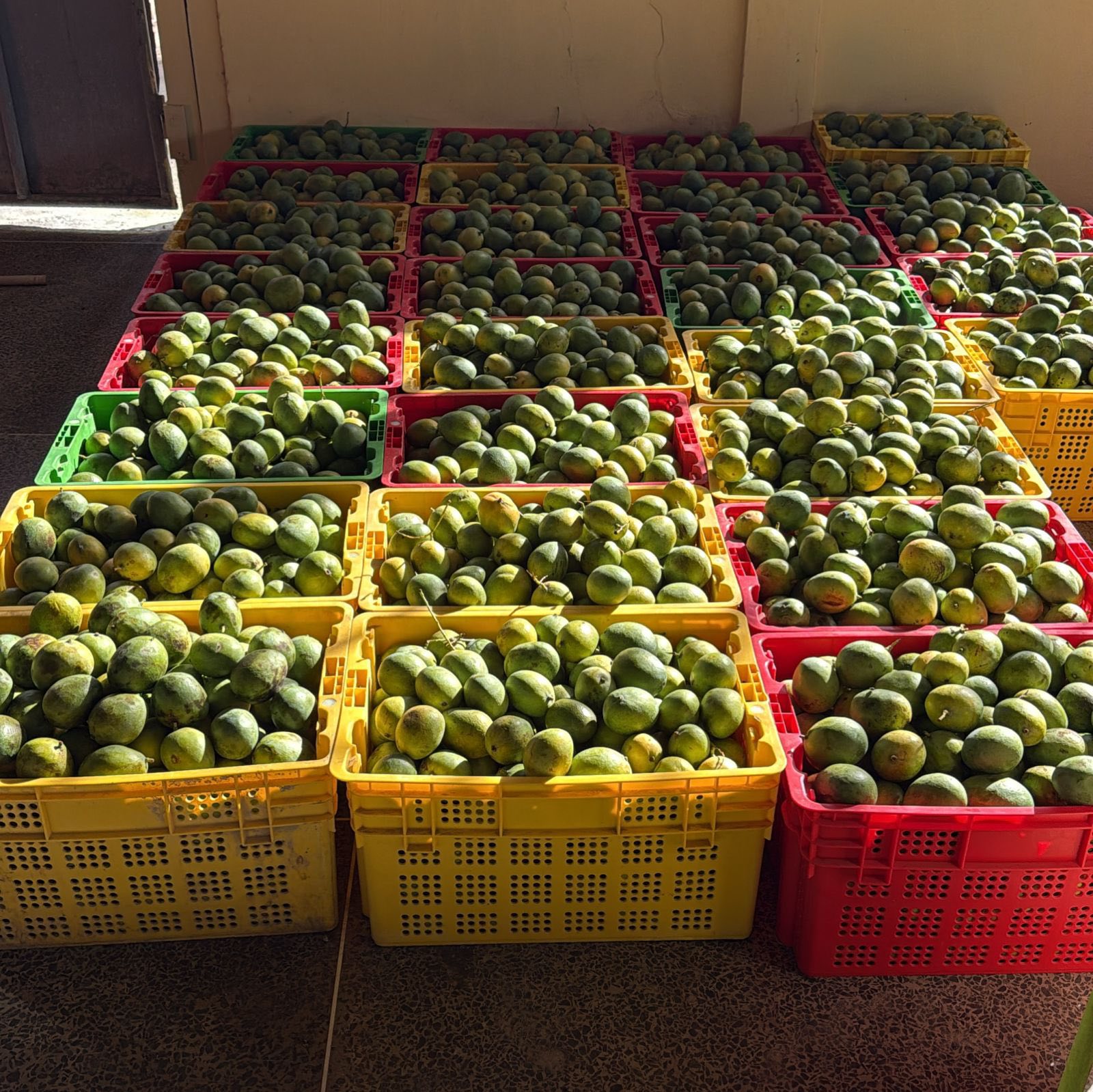 Guyana/Roraima Partnership advancing regional food hub agenda