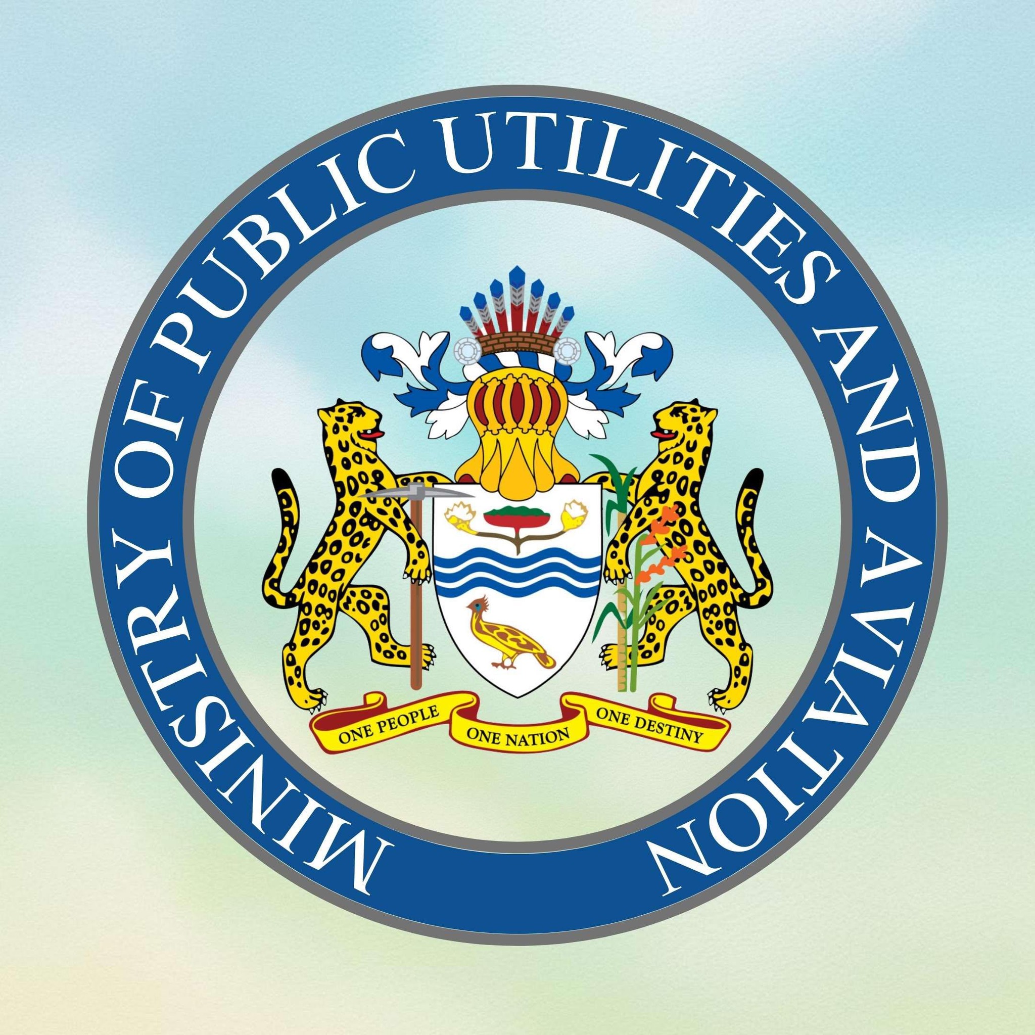 Gov’t invites proposals for municipal airports at Lethem, Rose Hall