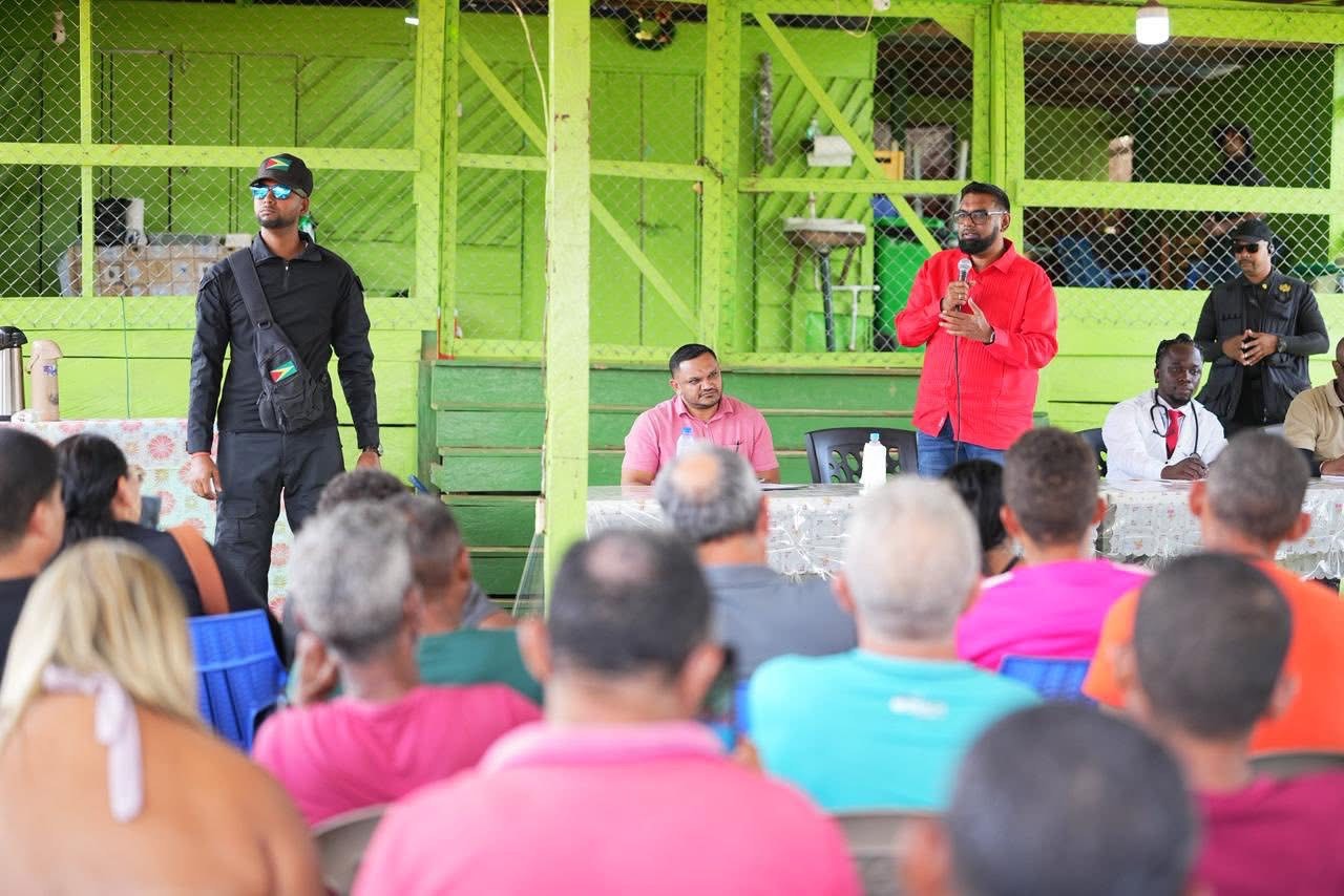 Pres. Ali assures small miners of gov’t support