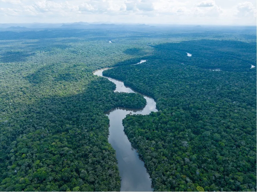 More airlines buying Guyana’s Carbon Credits