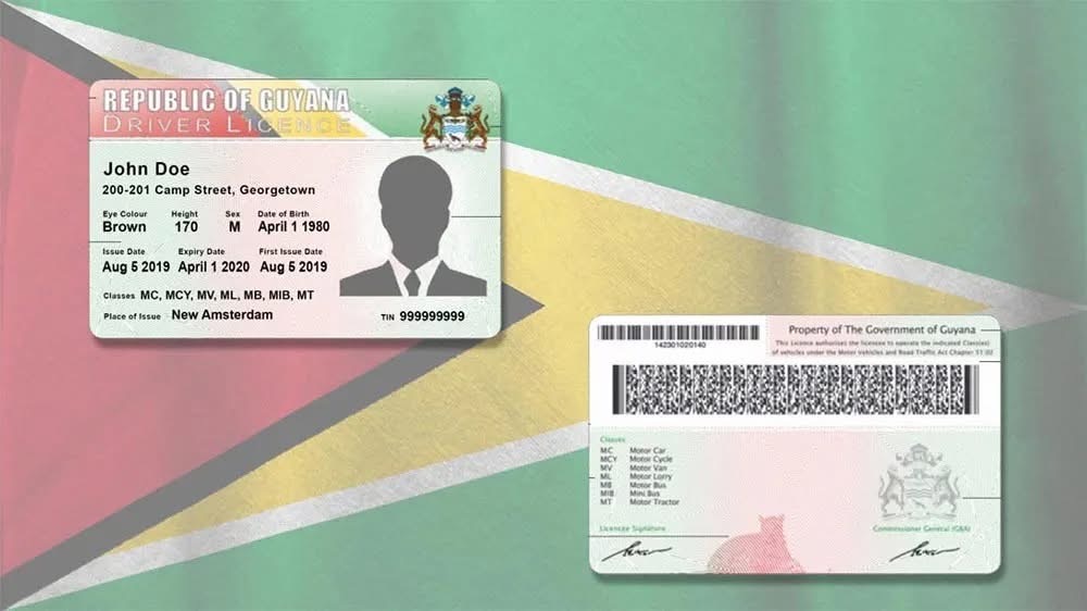 Names linked to irregular driver licenses to be released soon – President Ali