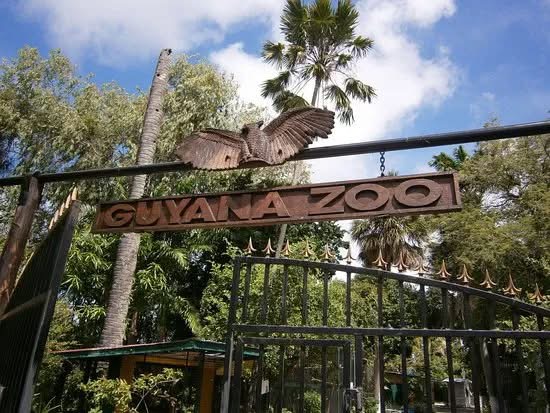 Guyana Zoological Park set for major transformation