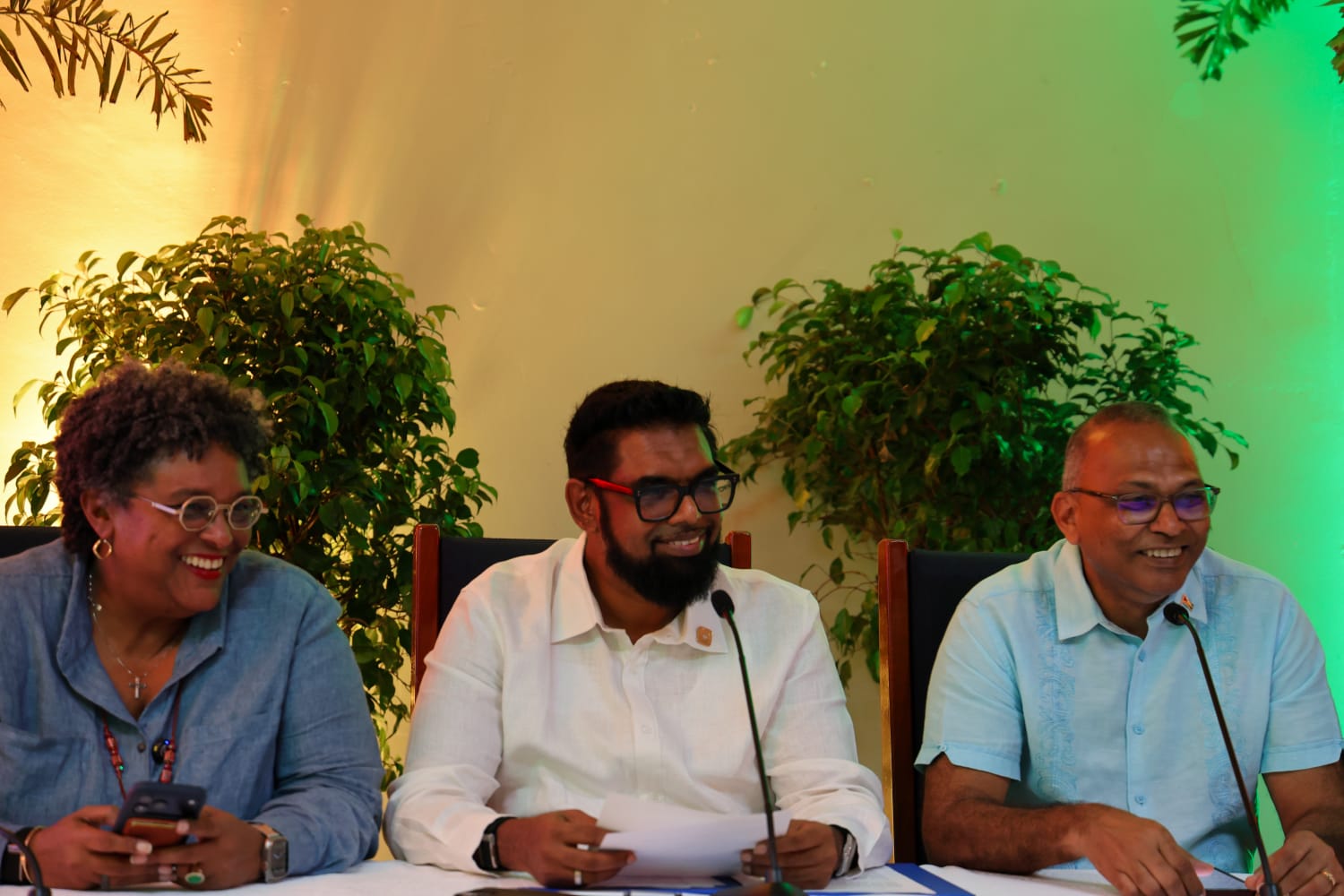 Gov’t to launch diaspora bond to support Guyana’s infrastructural development