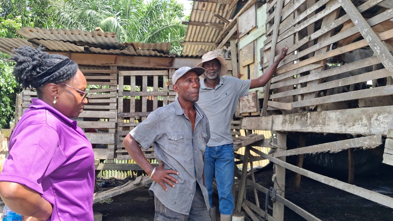 MOL highlights community success stories