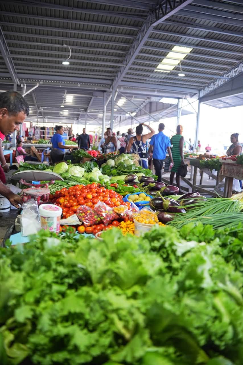 Government targets food prices