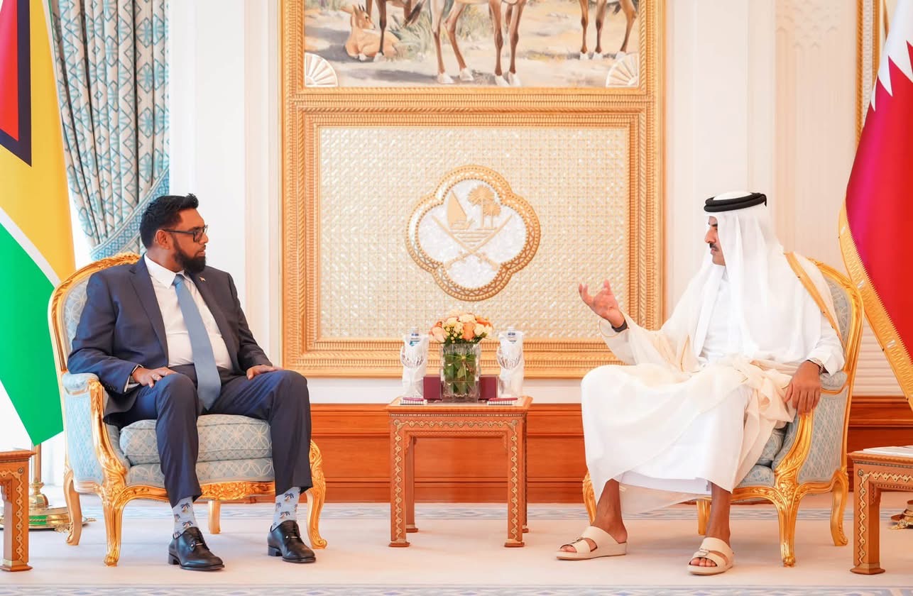 President Ali, Qatar Amir discuss expanded cooperation