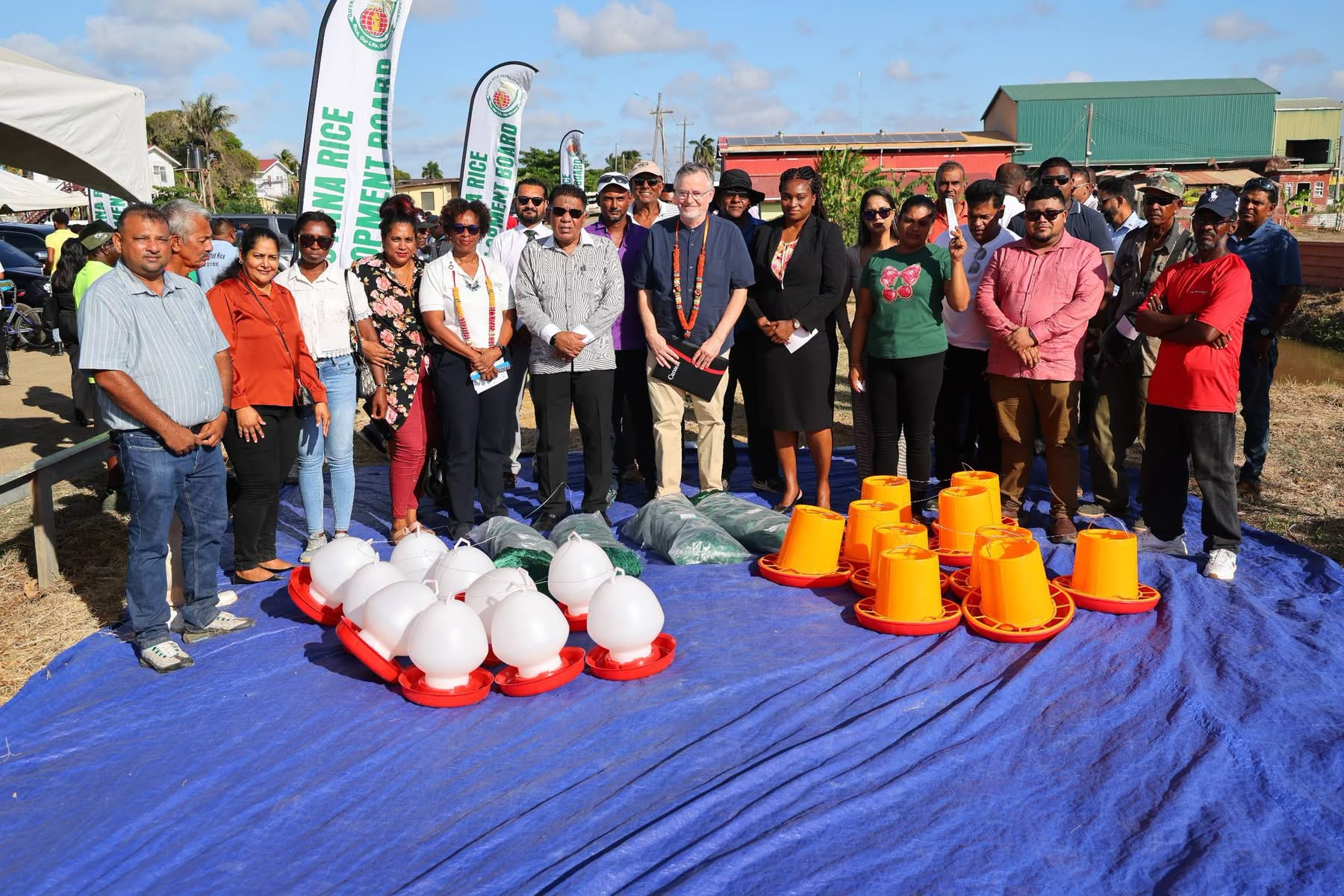 Rice-Duck Initiative targets increased income for farmers