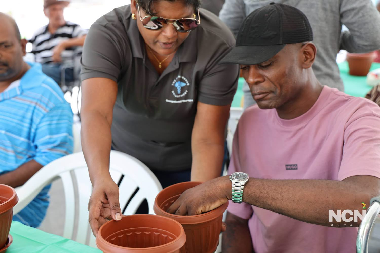 Gardening used as therapy for patients recovering from stroke 
