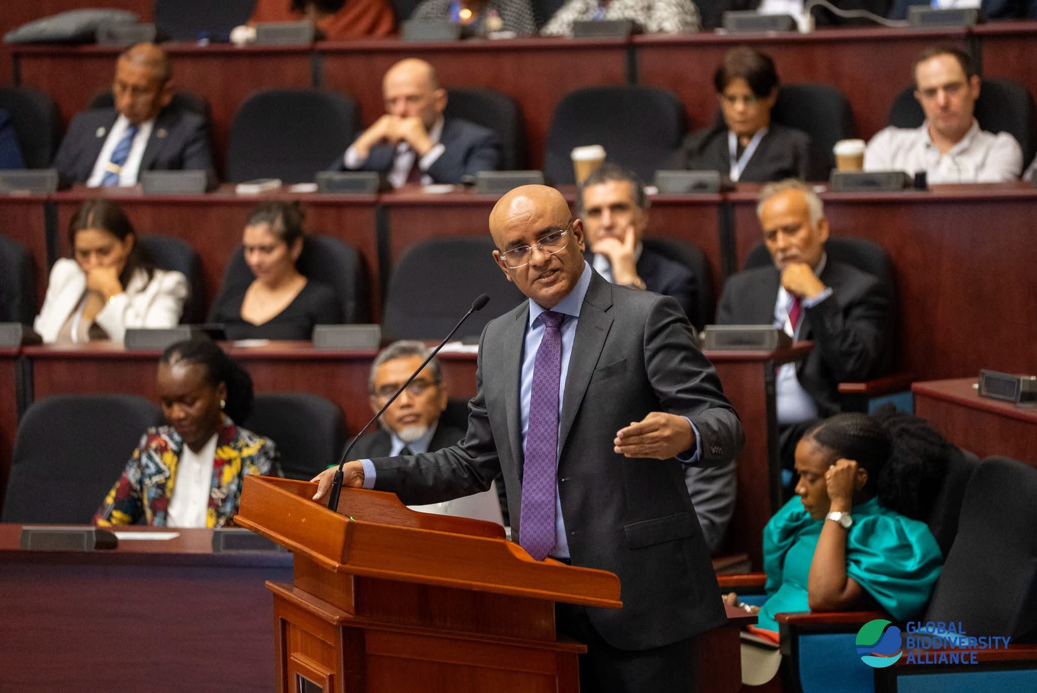 VP Jagdeo outlines GBA’s role in advancing global biodiversity commitments